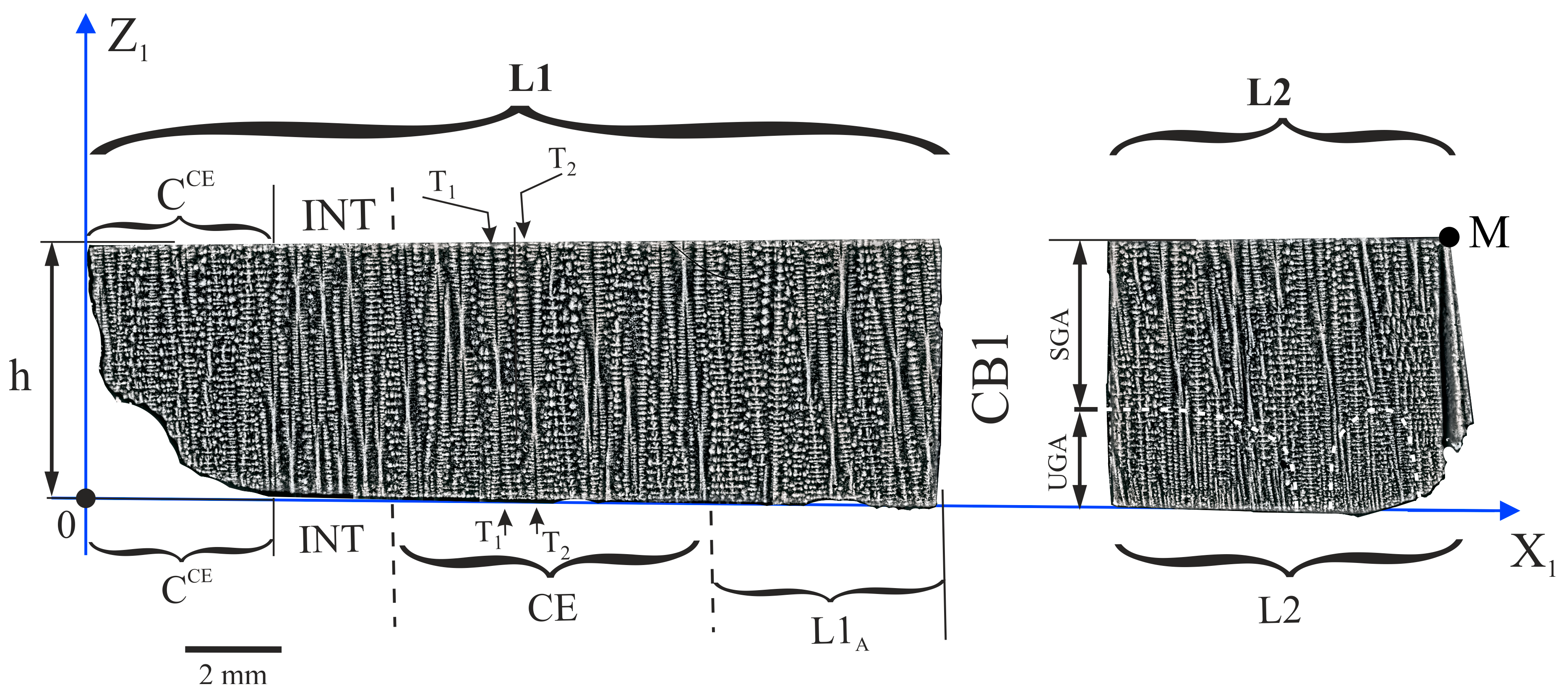 Materials 14 00080 g003