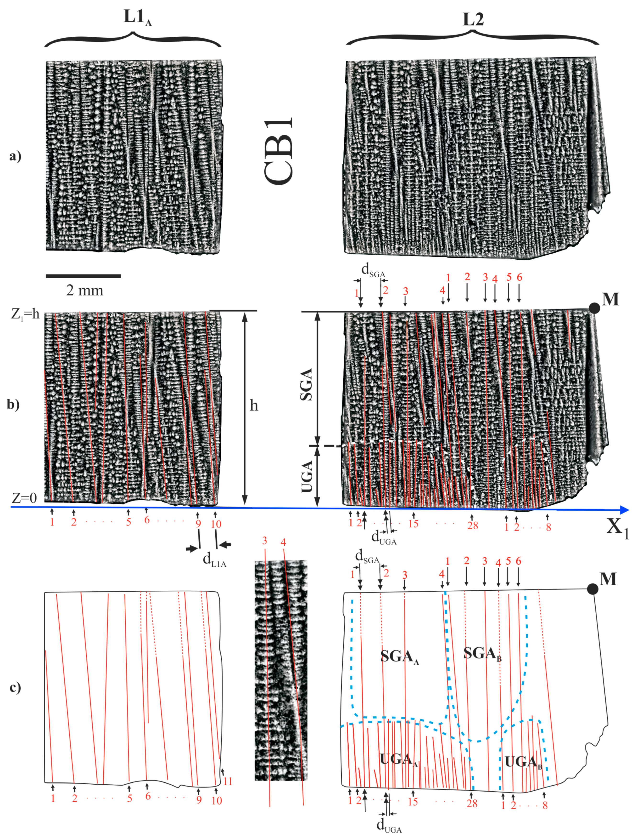 Materials 14 00080 g004