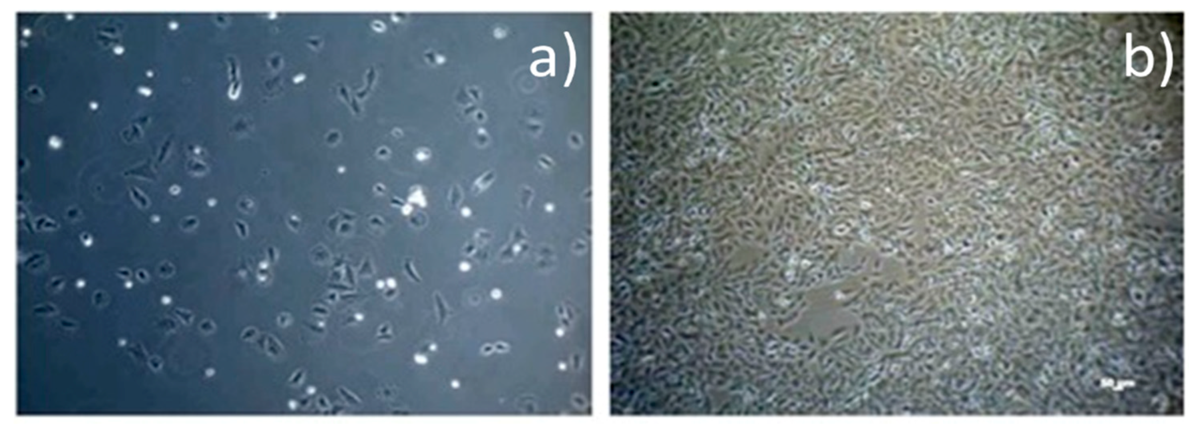 Materials 14 00084 g001