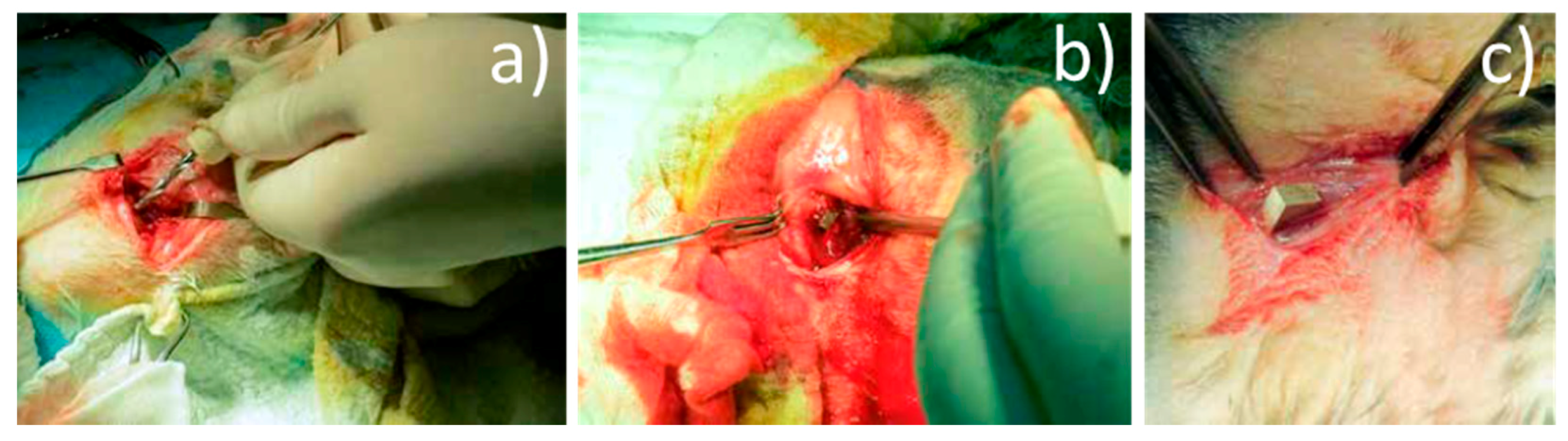 Materials 14 00084 g004