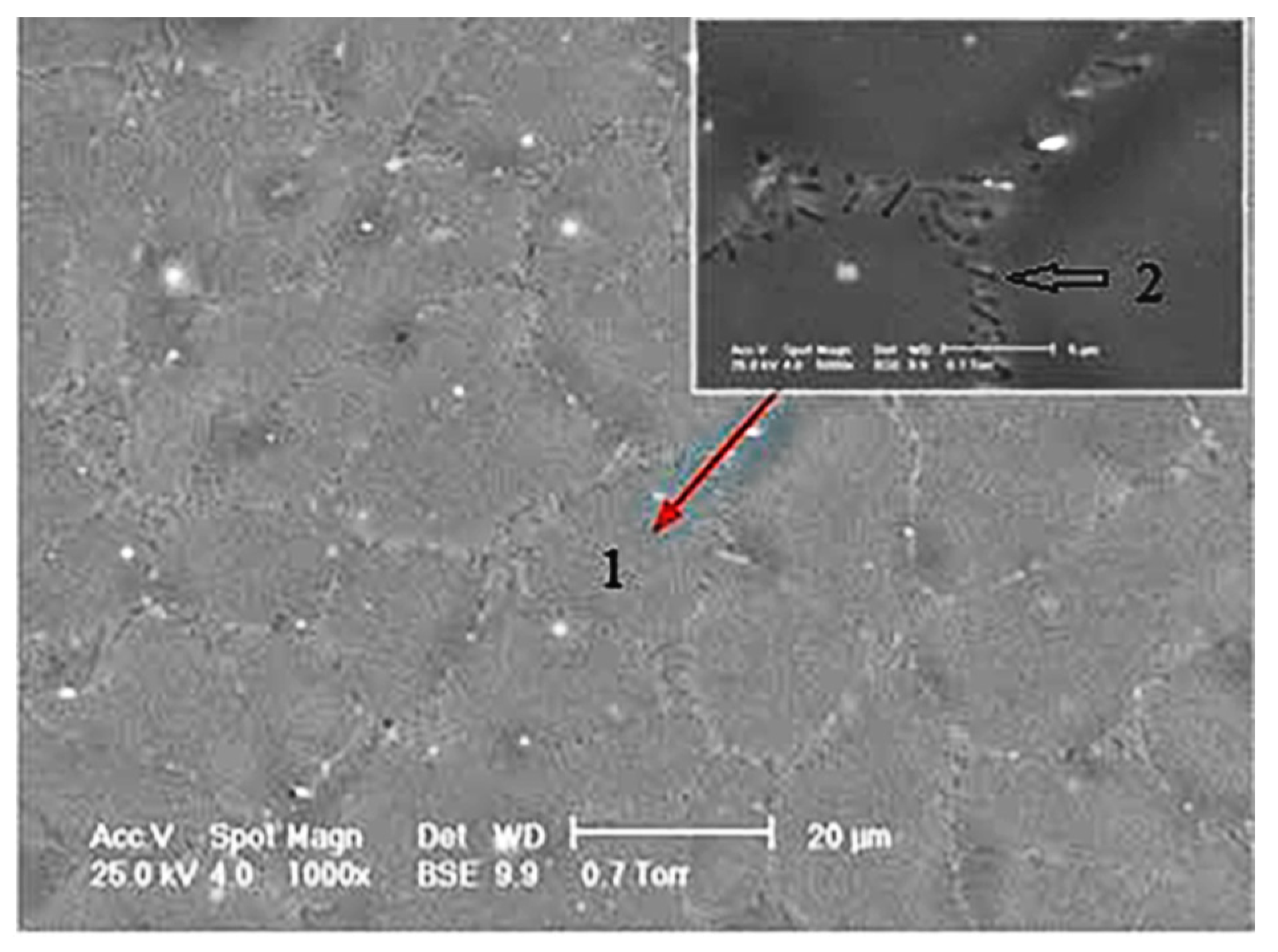 Materials 14 00084 g011