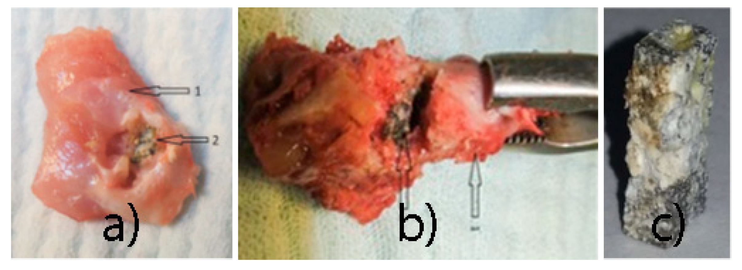 Materials 14 00084 g014