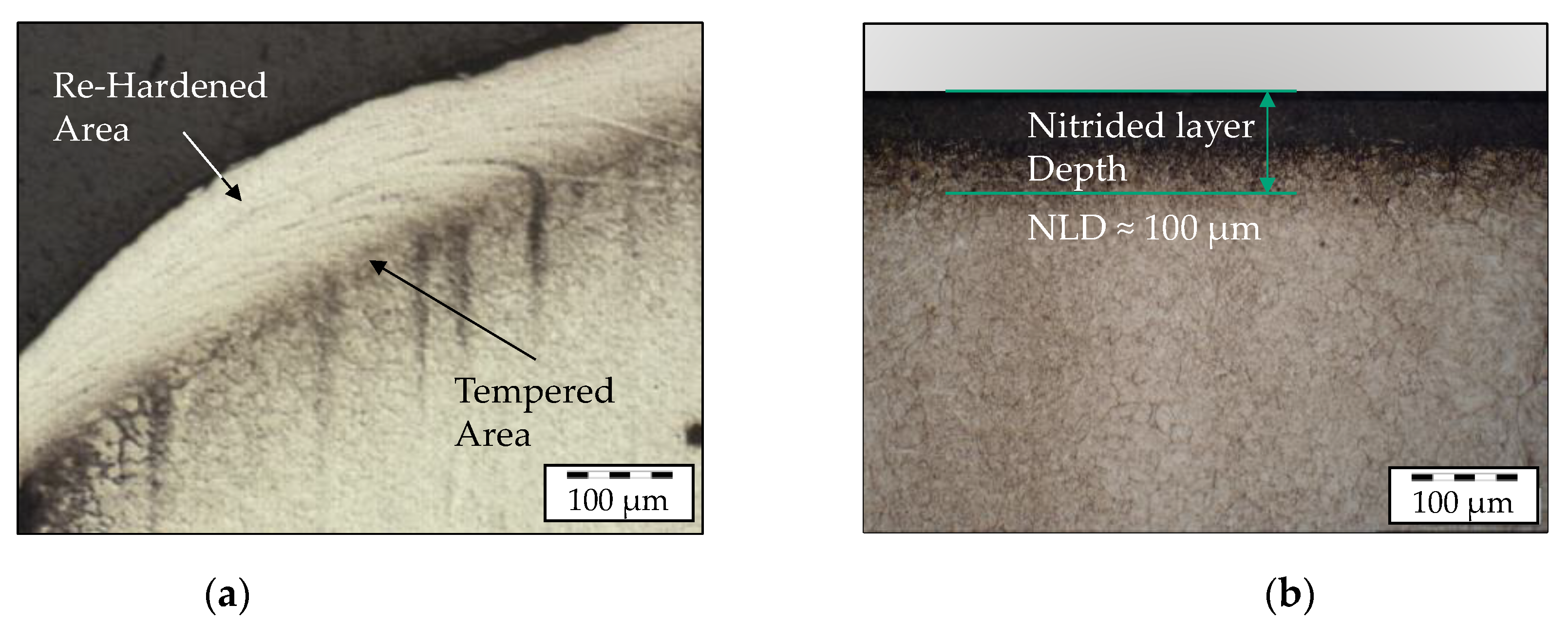 Materials 14 00104 g003