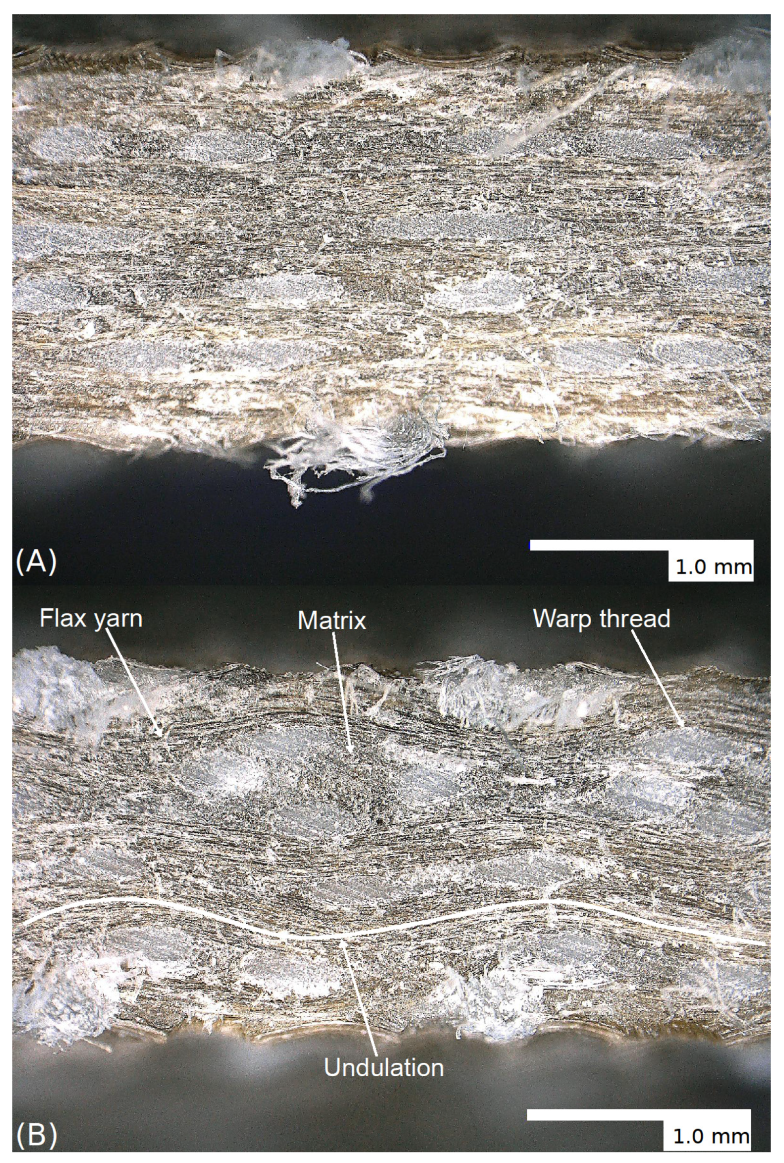 Materials 14 00105 g010