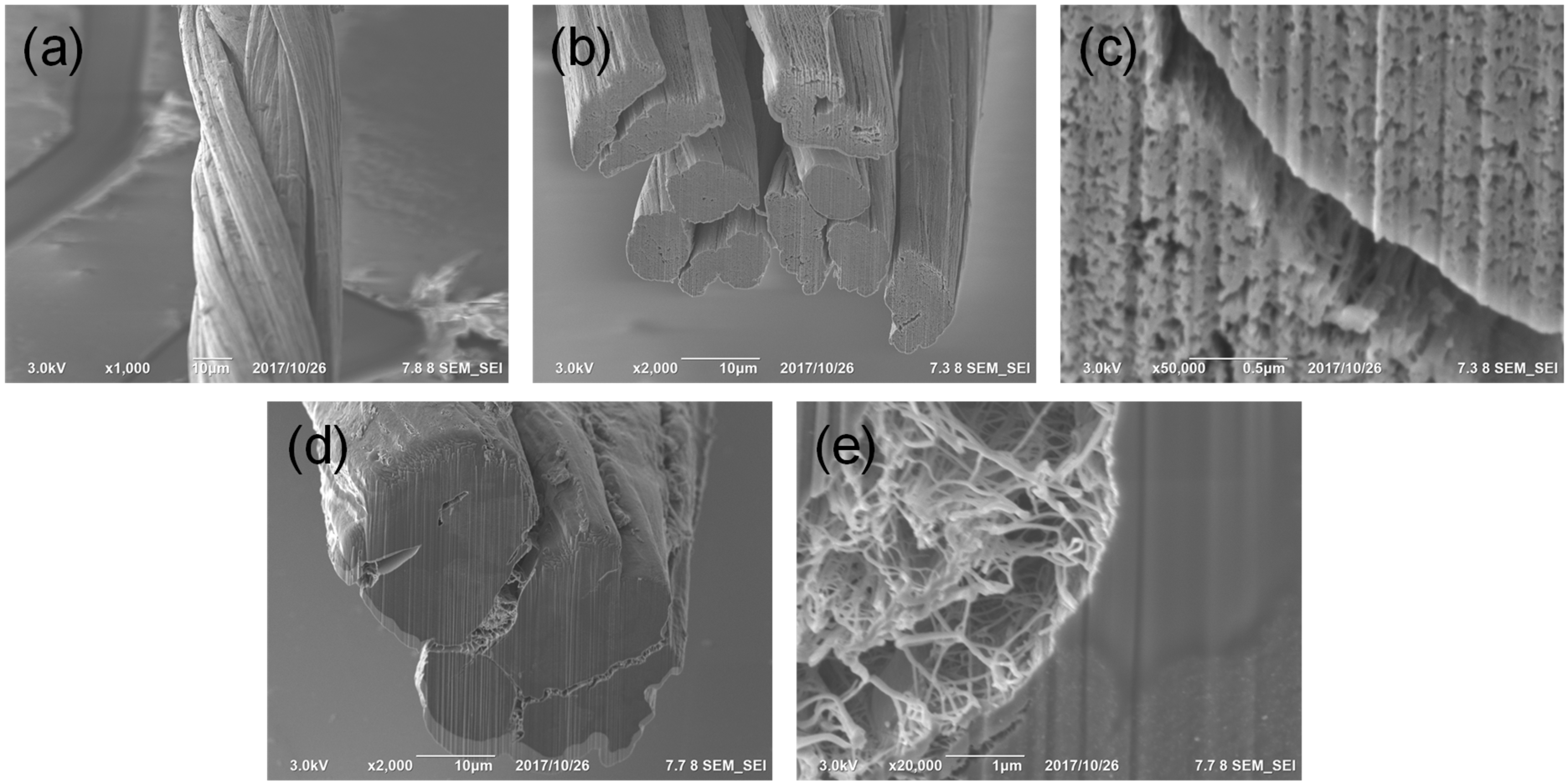 Materials 14 00106 g003