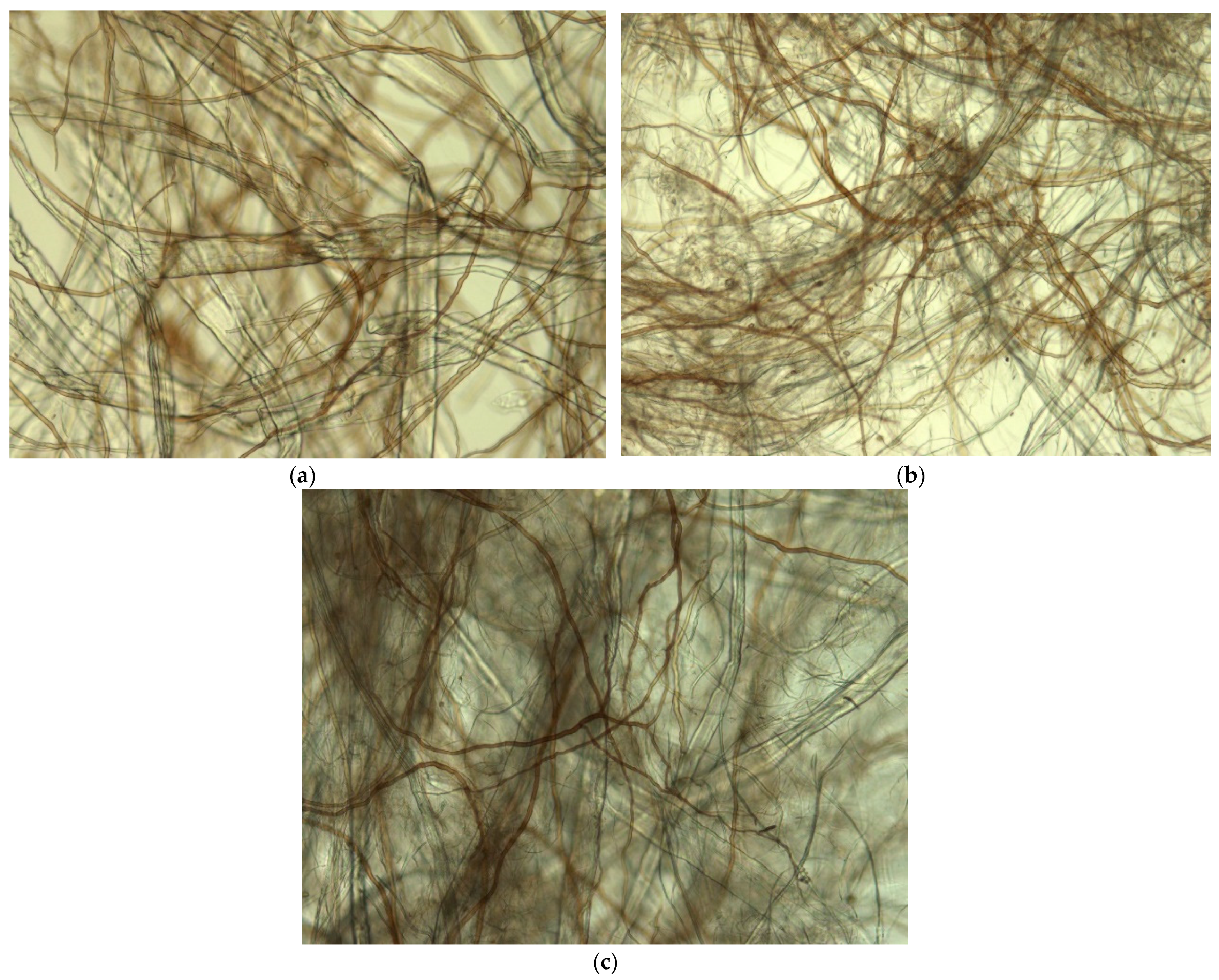 Materials 14 00136 g001