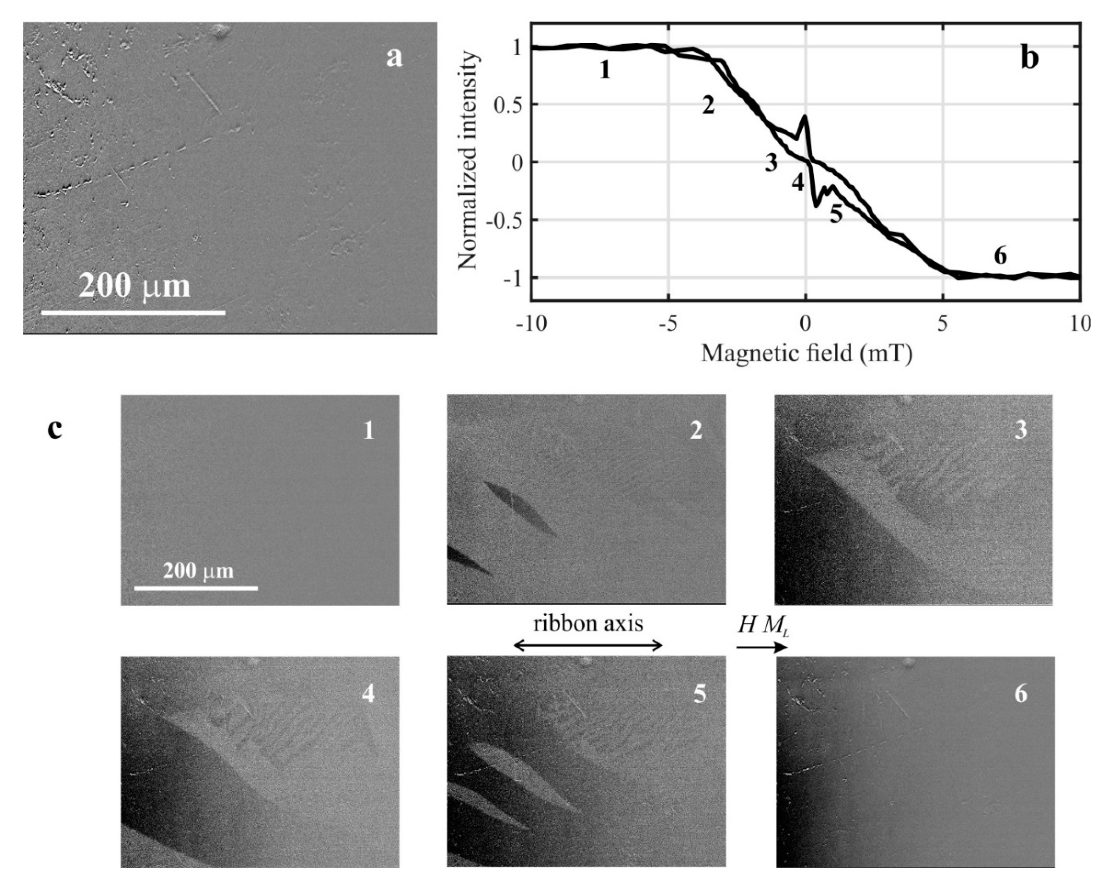 Materials 14 00141 g004