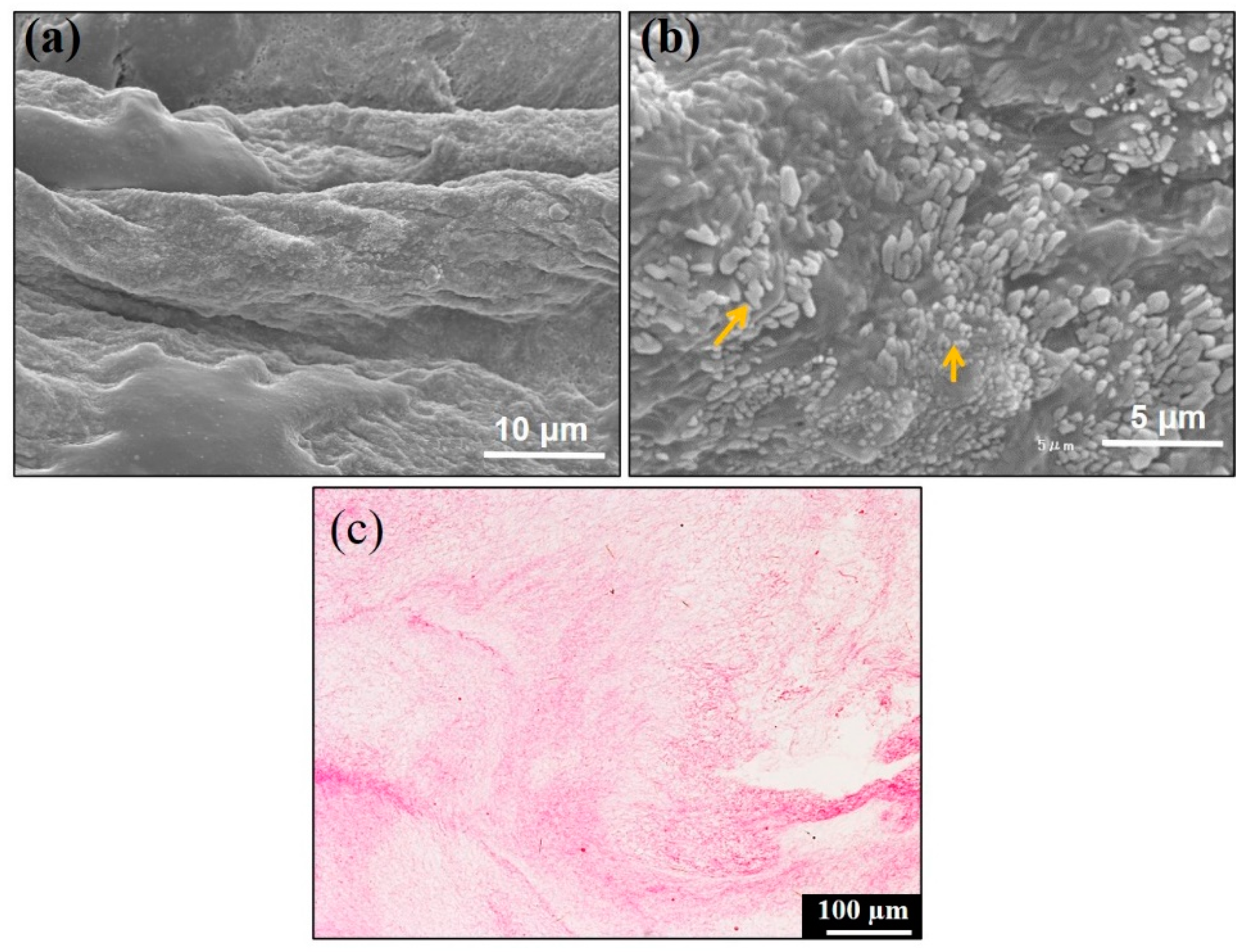 Materials 14 00150 g002 Materials 14 00150 g002