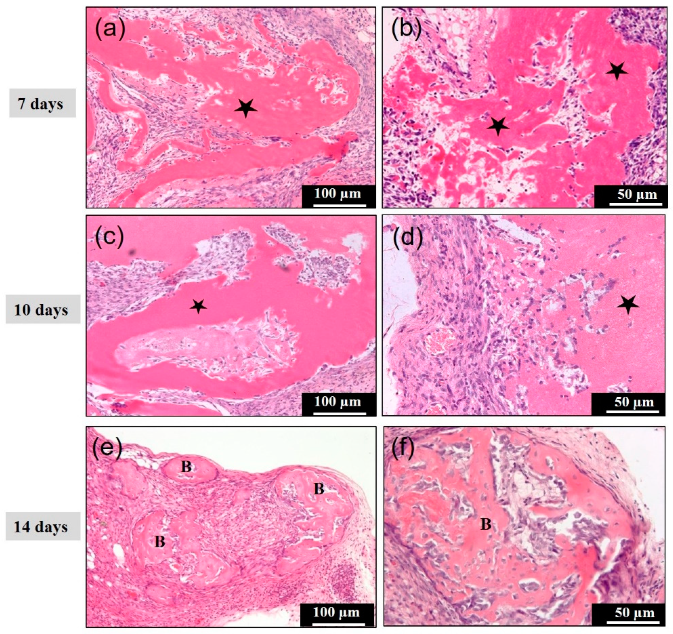 Materials 14 00150 g004 Materials 14 00150 g004