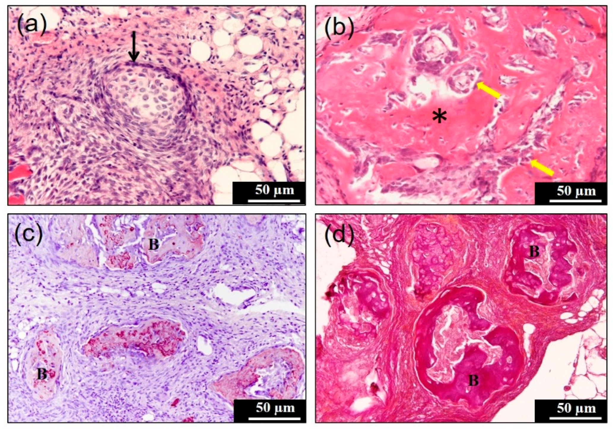 Materials 14 00150 g005 Materials 14 00150 g005