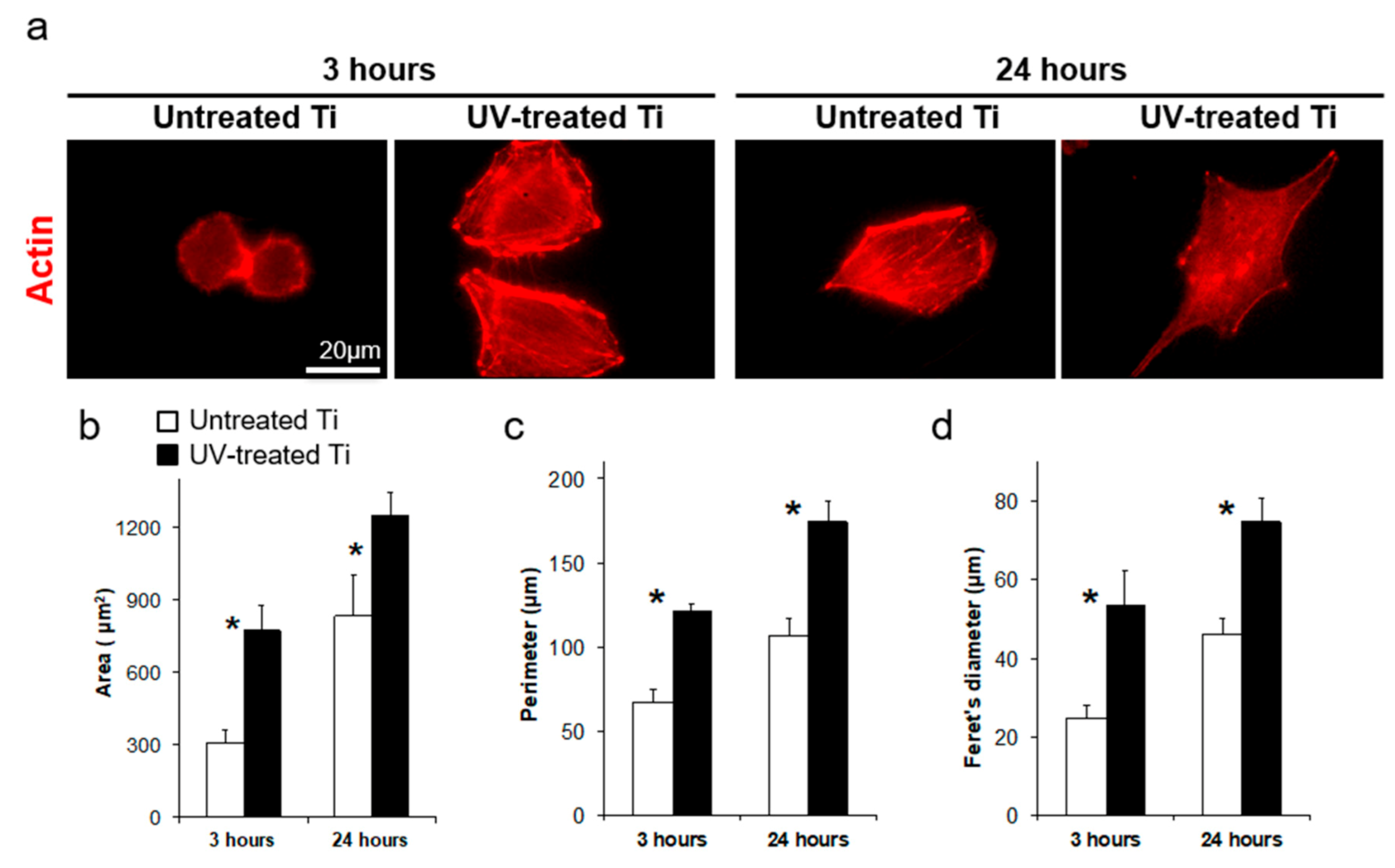 Materials 14 00151 g003 Materials 14 00151 g003