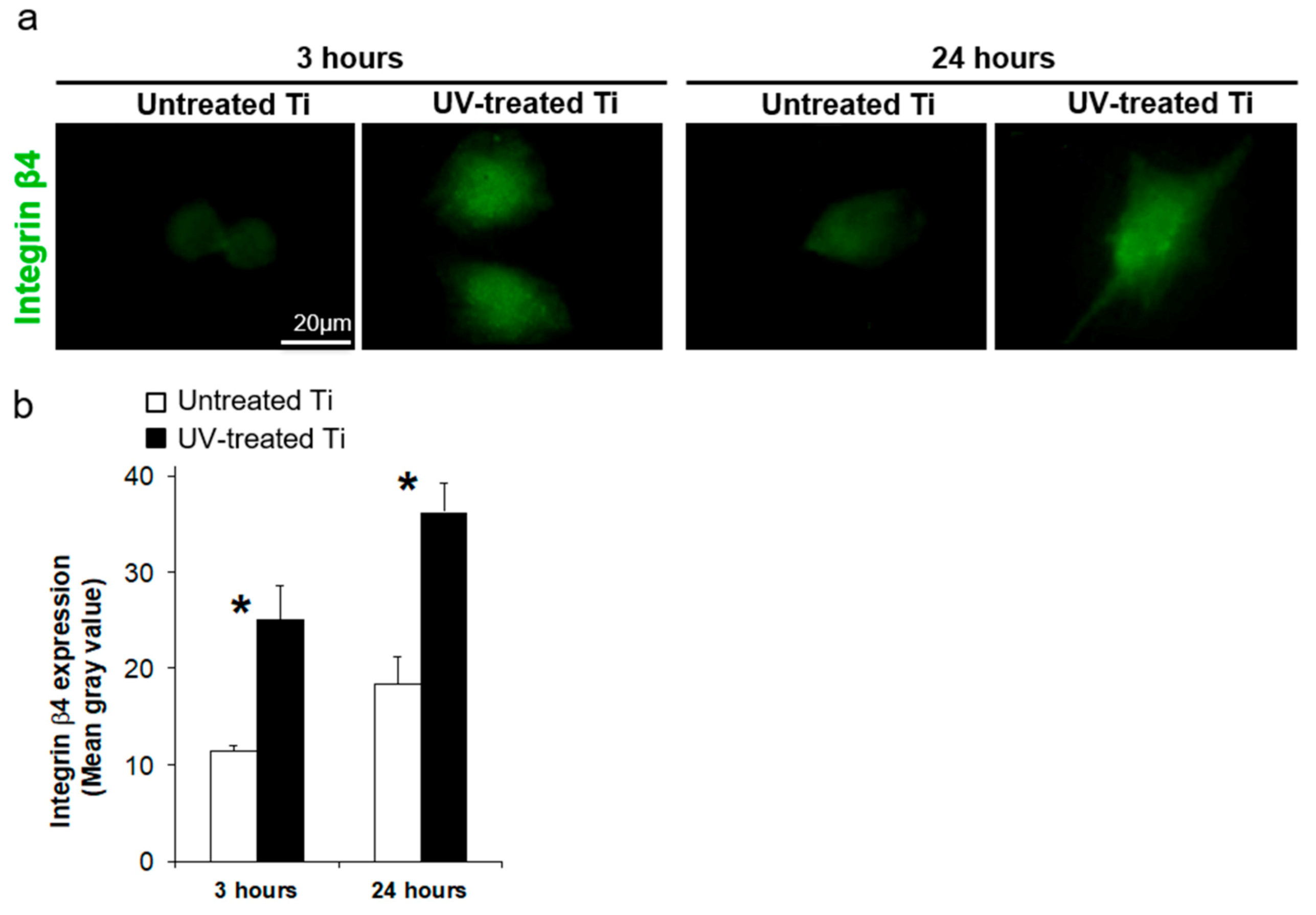Materials 14 00151 g004 Materials 14 00151 g004