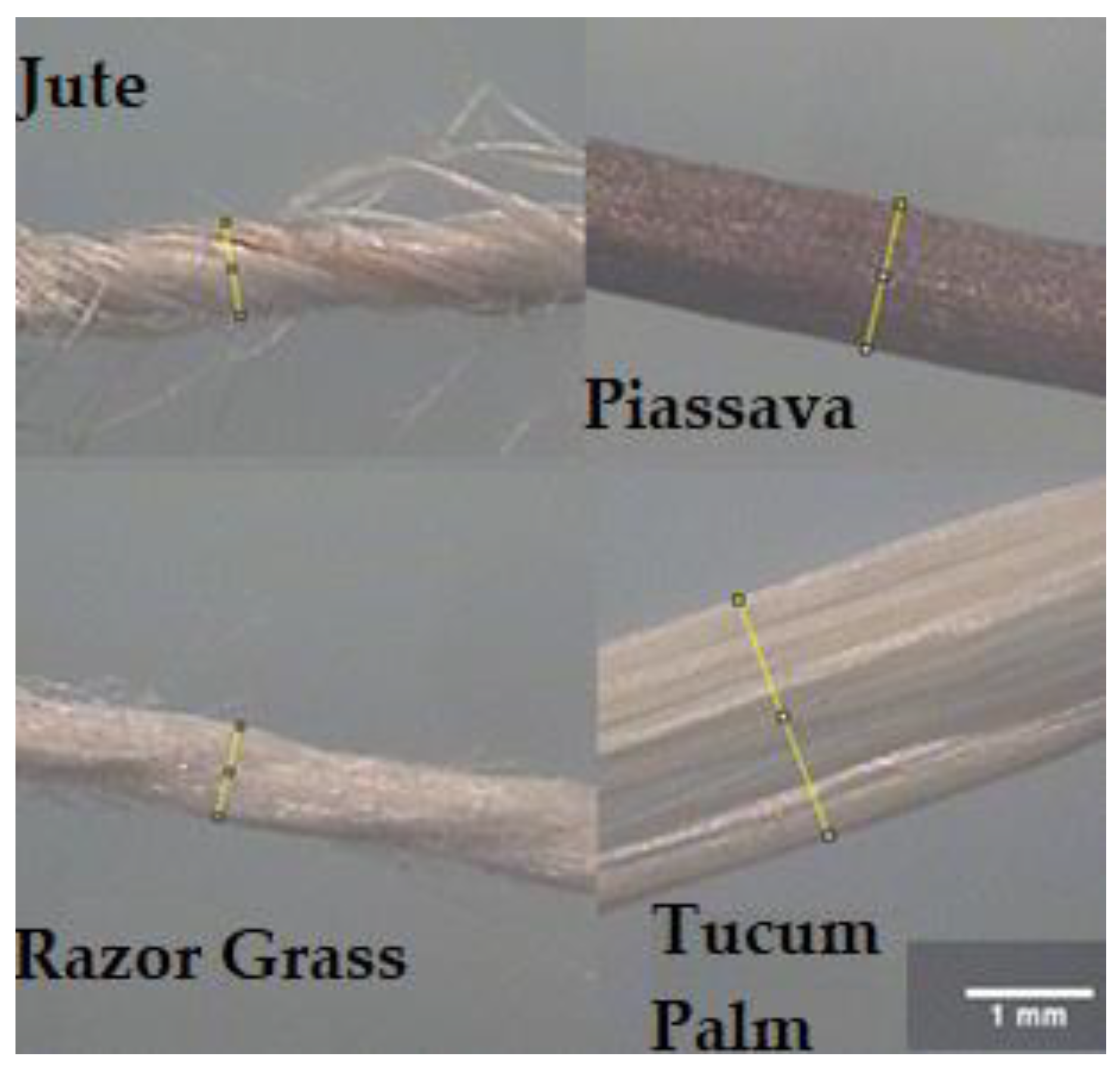 Materials 14 00155 g001