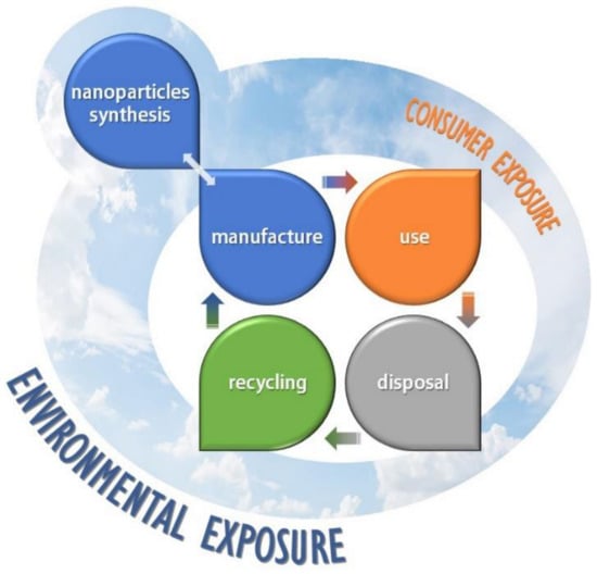 Evaluation of Exposure Concentrations Used in Assessing Manufactured  Nanomaterial Environmental Hazards: Are They Relevant?