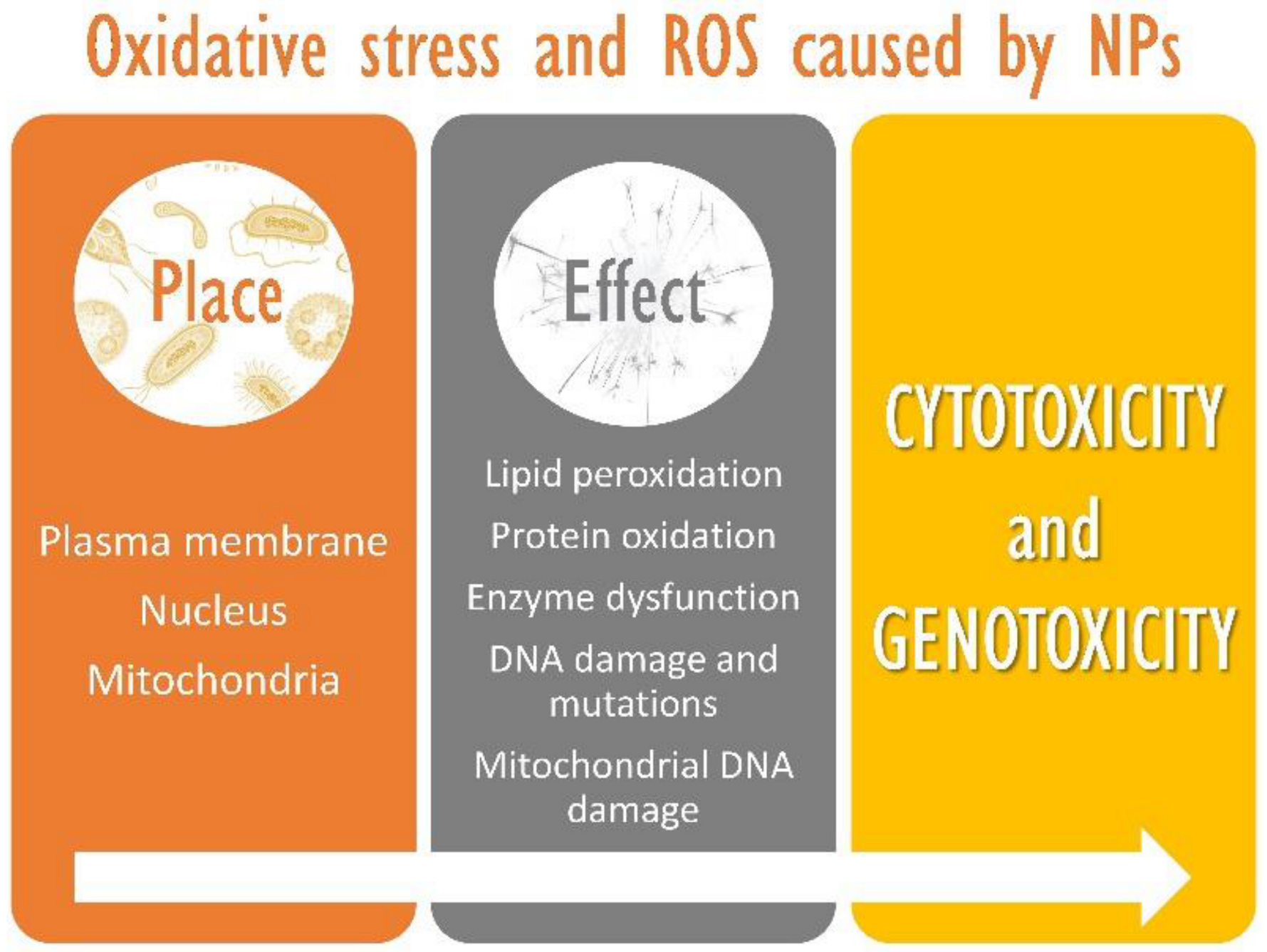 Materials 14 00166 g006 Materials 14 00166 g006