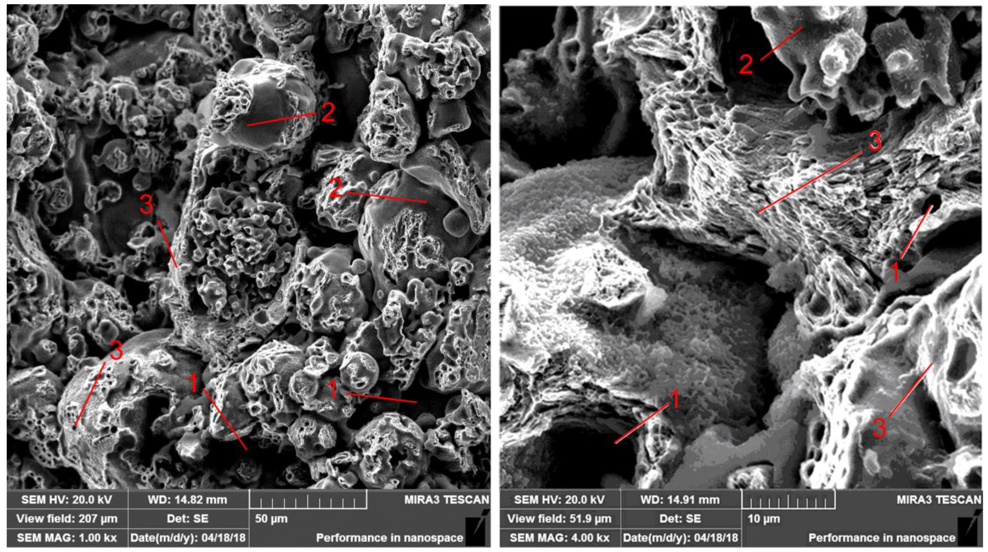 Materials 14 00174 g006 Materials 14 00174 g006