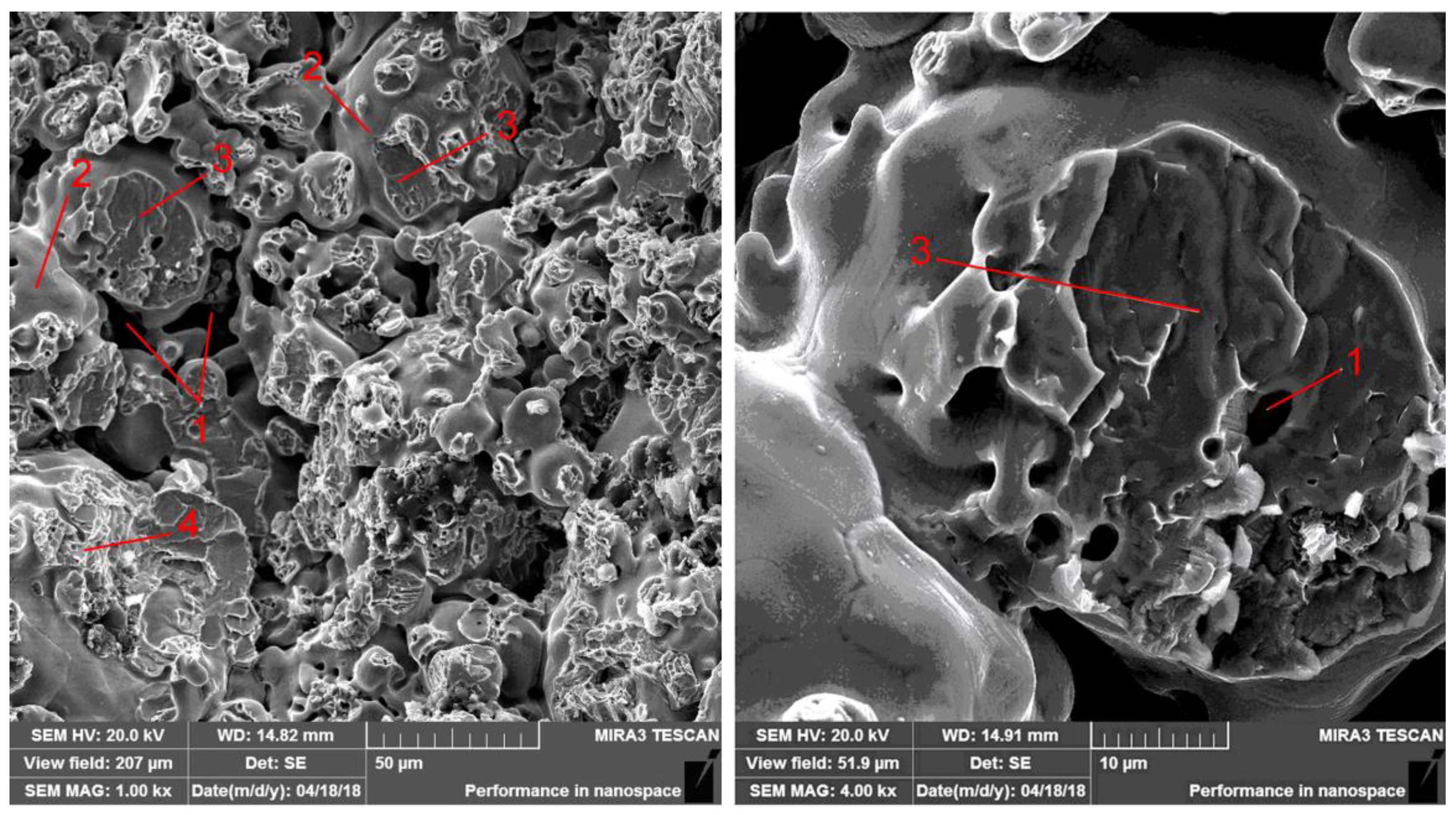 Materials 14 00174 g007 Materials 14 00174 g007