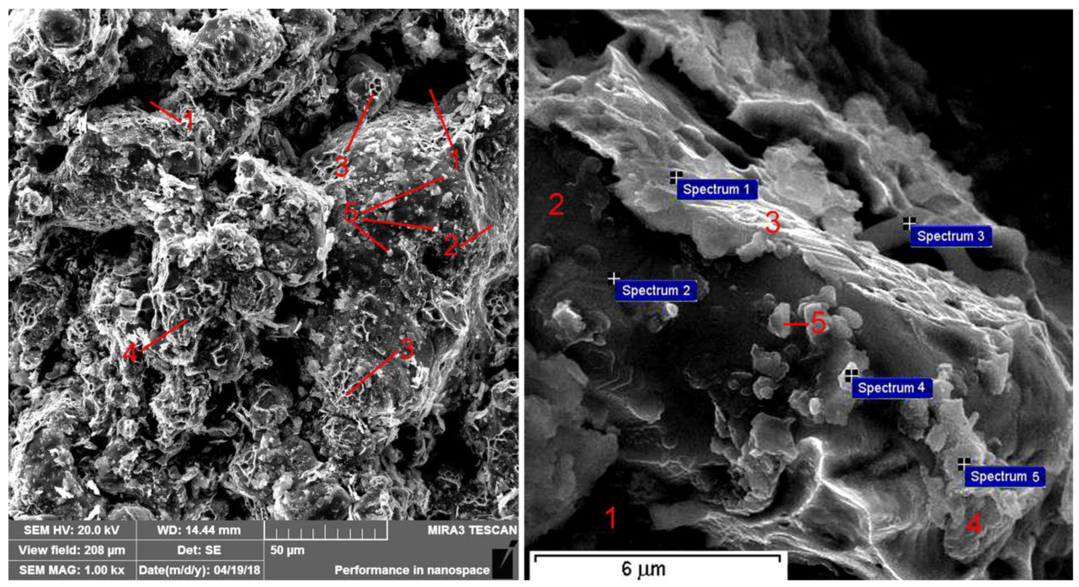 Materials 14 00174 g008 Materials 14 00174 g008