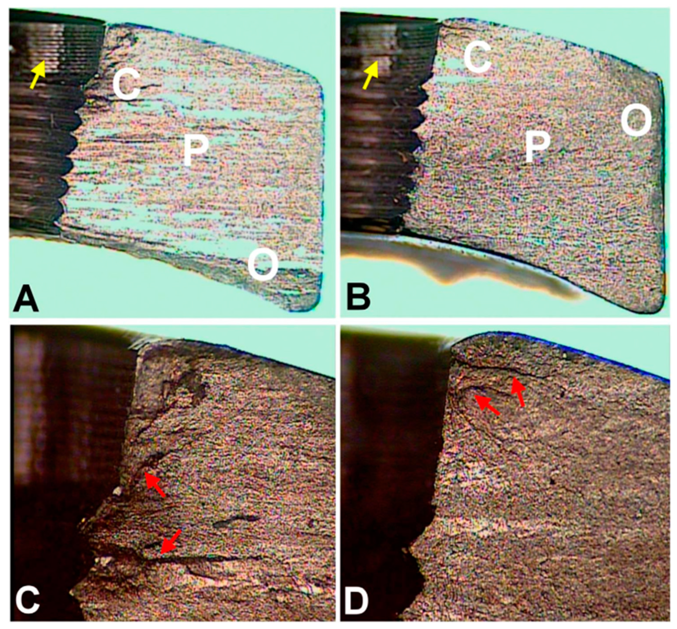 Materials 14 00176 g002 Materials 14 00176 g002