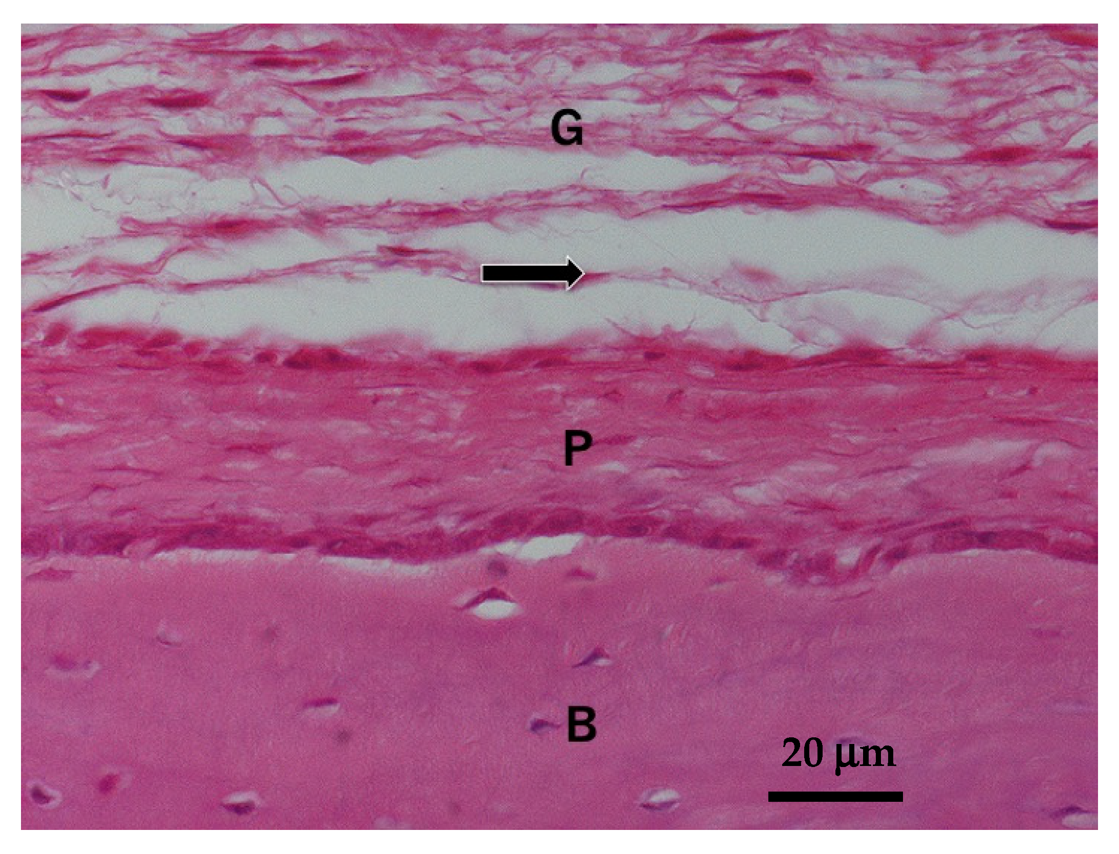 Materials 14 00196 g002