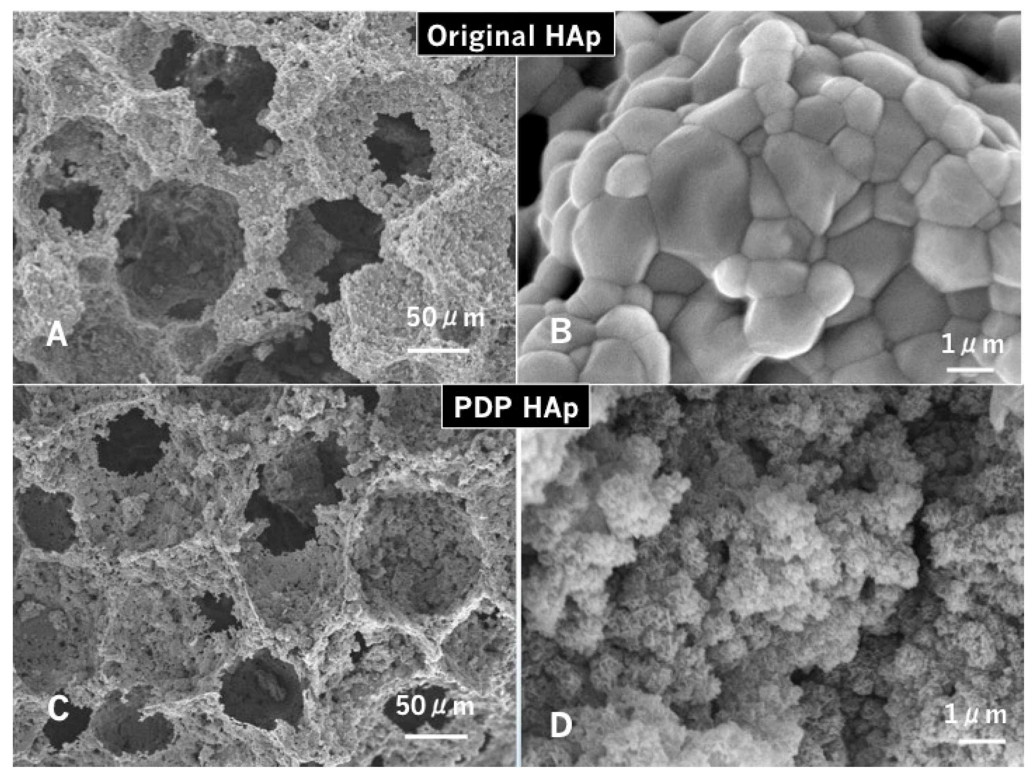 Materials 14 00196 g003