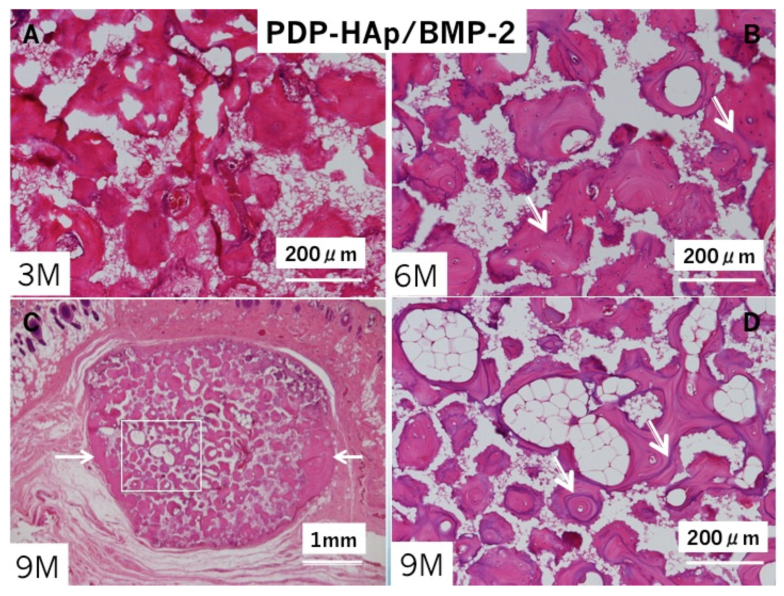 Materials 14 00196 g005