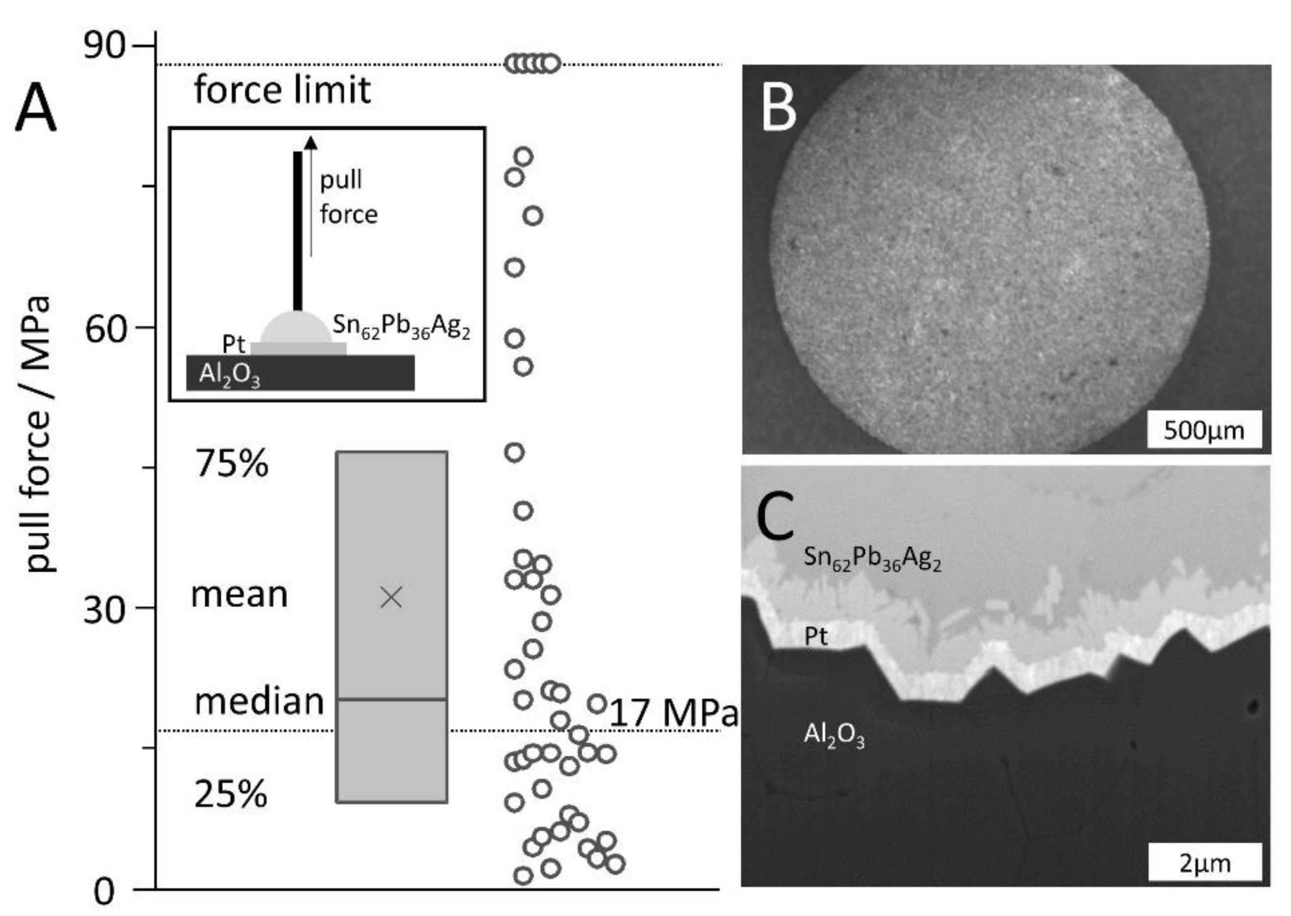 Materials 14 00200 g004