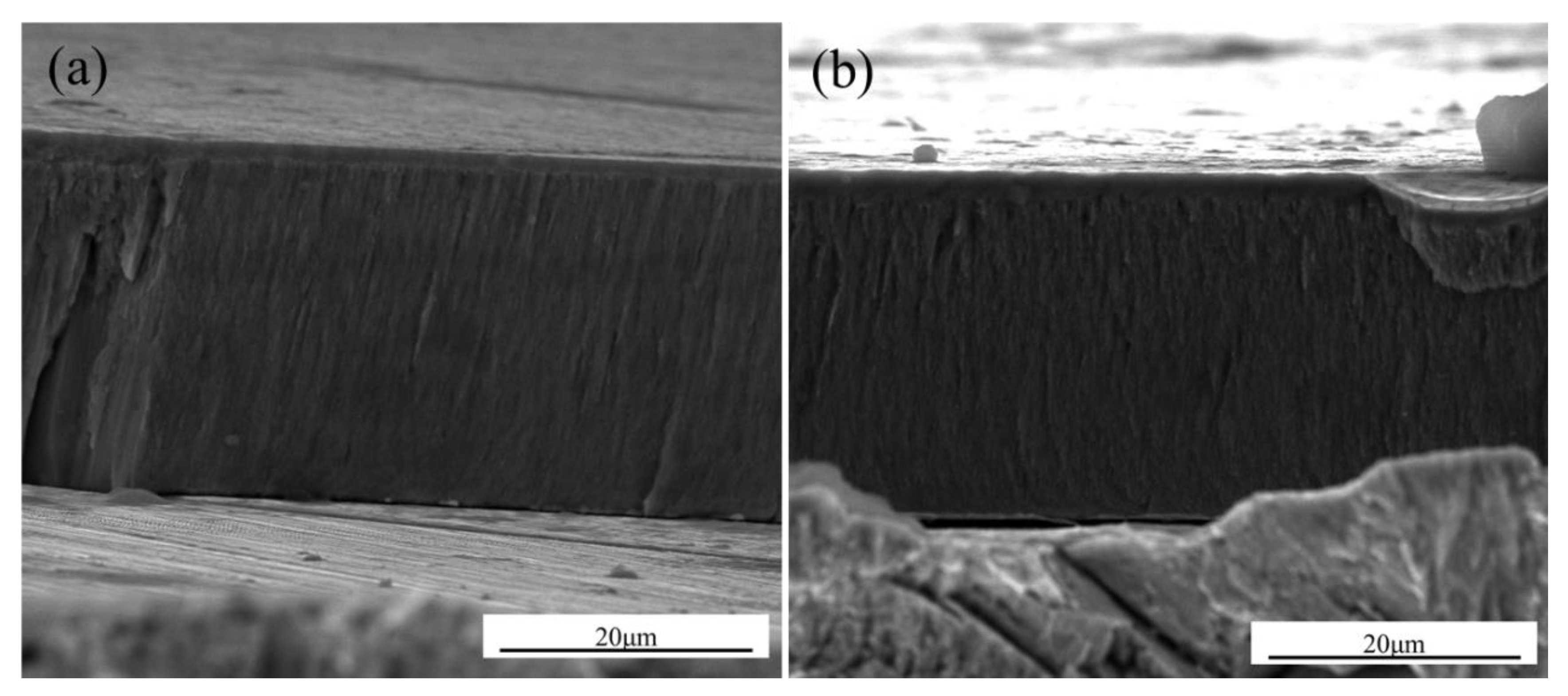 Materials 14 00202 g001 Materials 14 00202 g001
