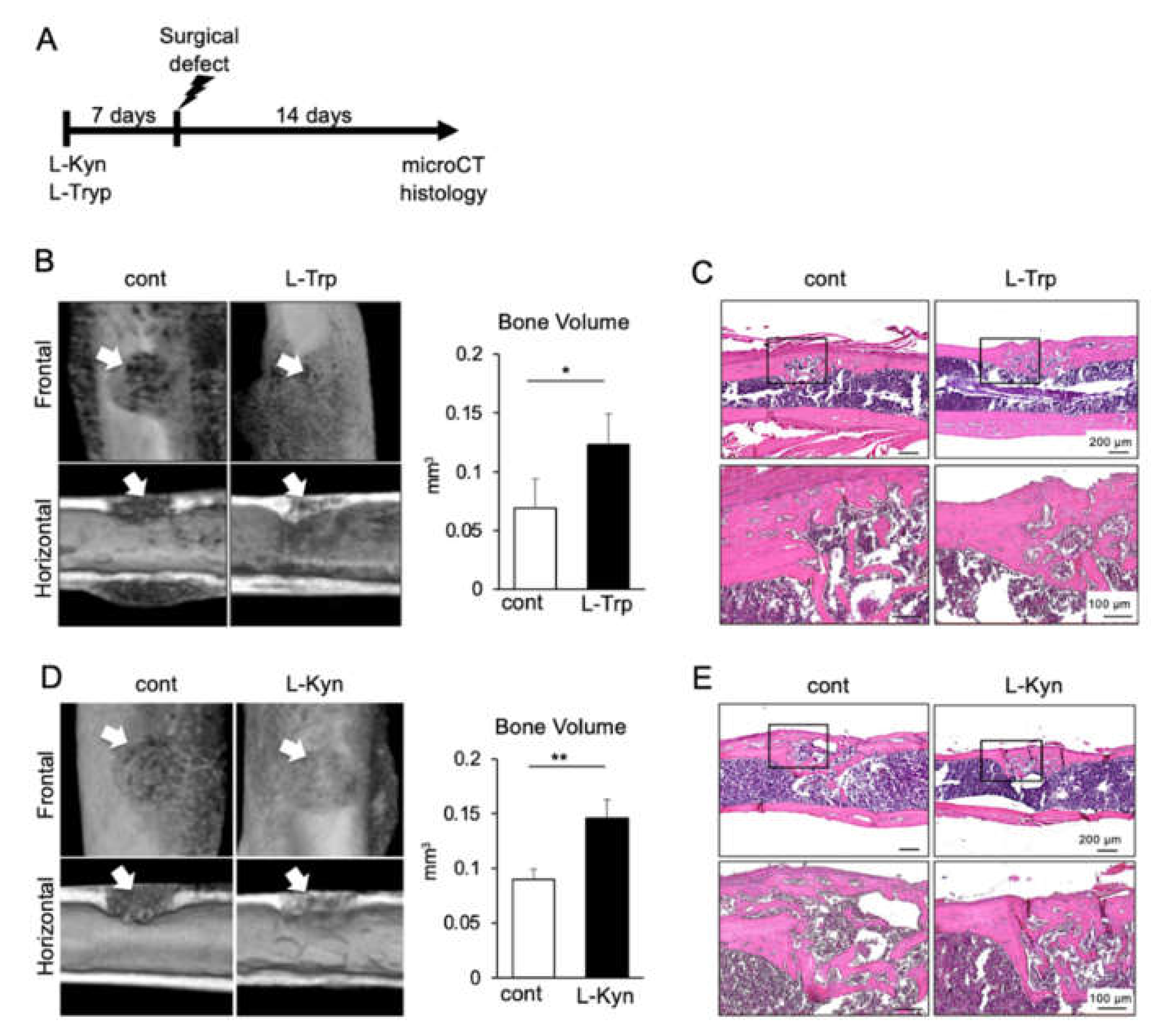 Materials 14 00208 g005 Materials 14 00208 g005