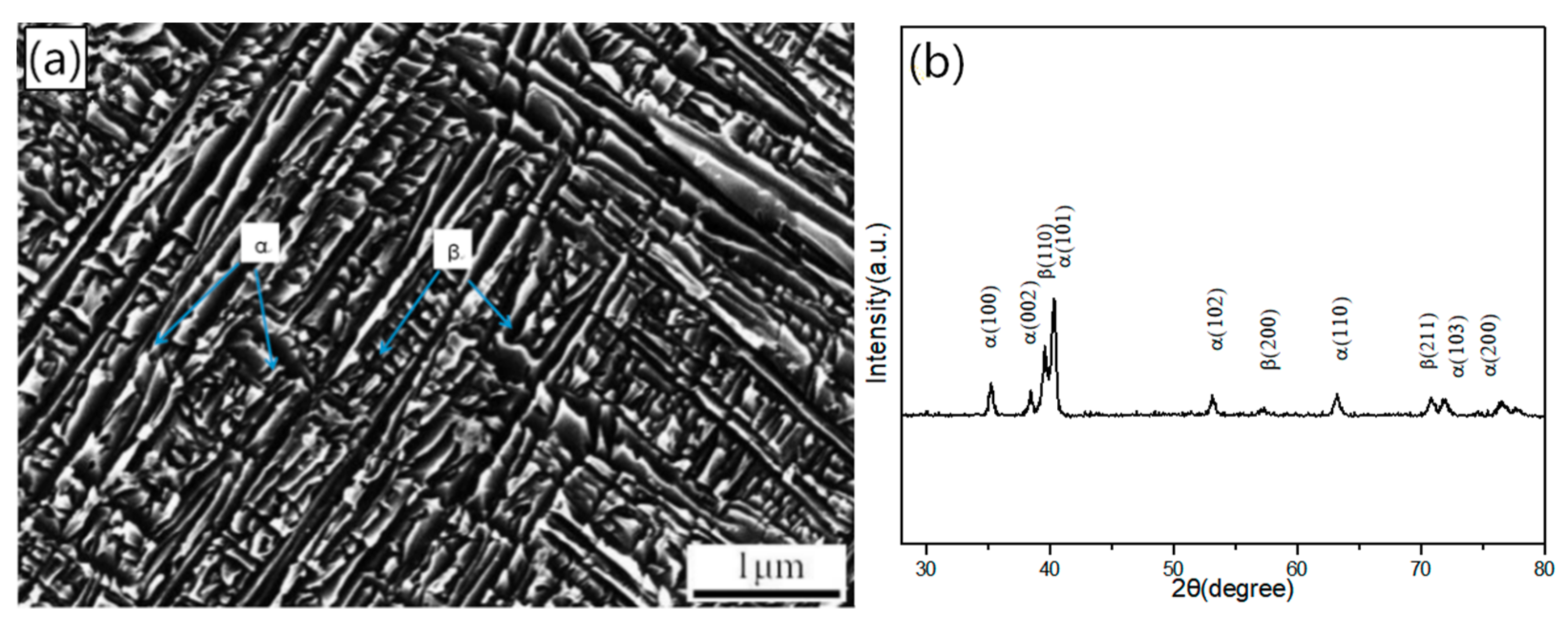 Materials 14 00209 g007