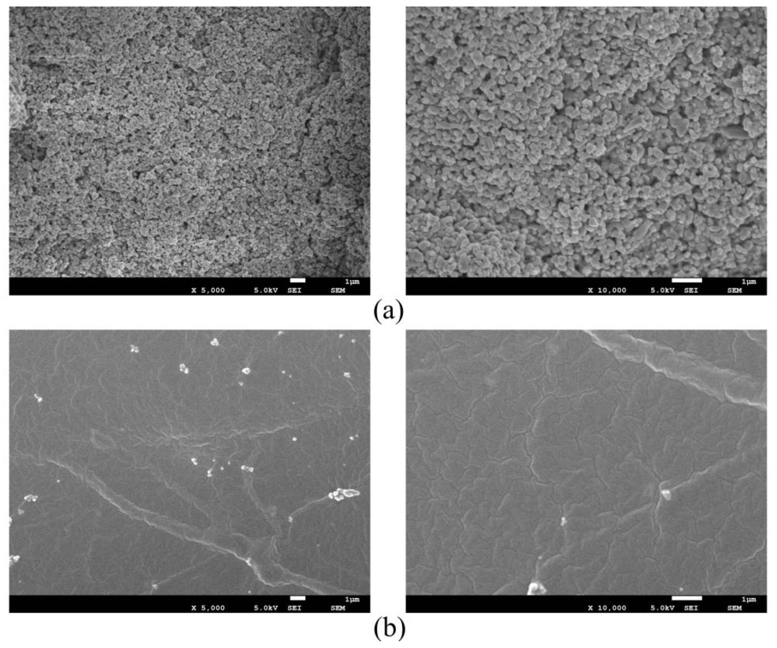 Materials 14 00211 g007 Materials 14 00211 g007