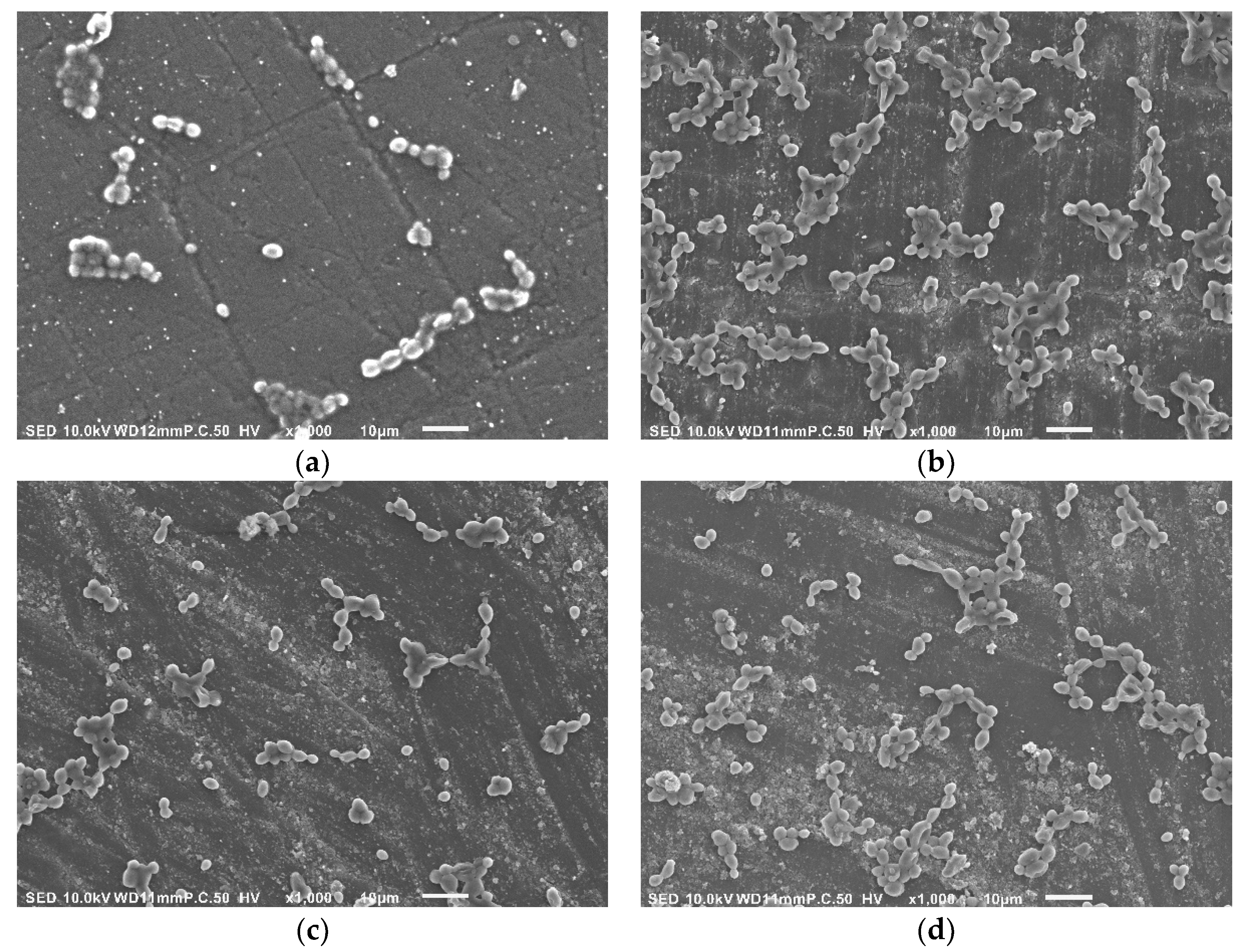 Materials 14 00221 g006