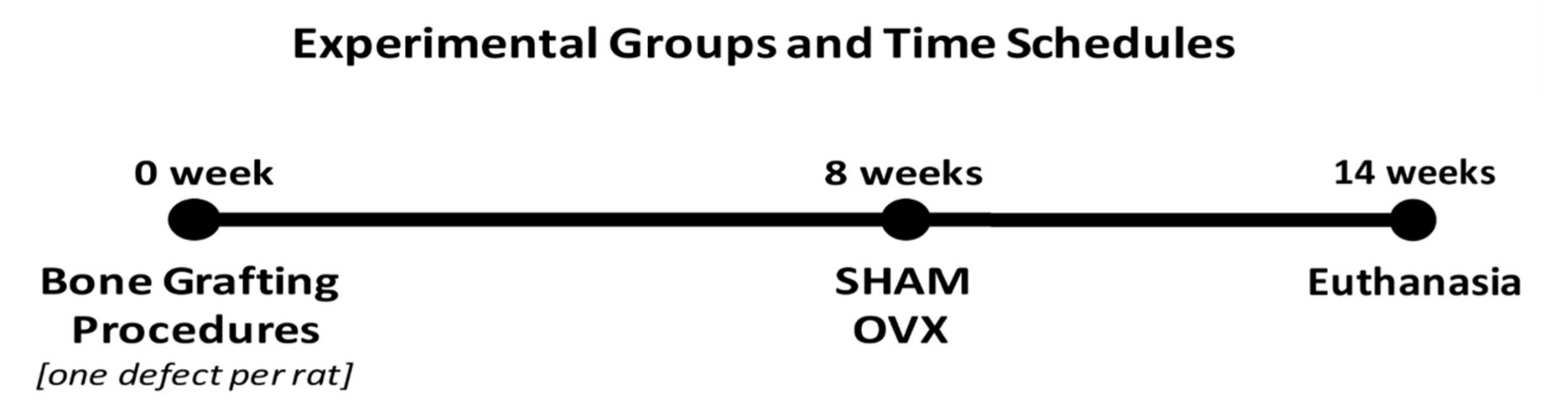 Materials 14 00222 g002 Materials 14 00222 g002