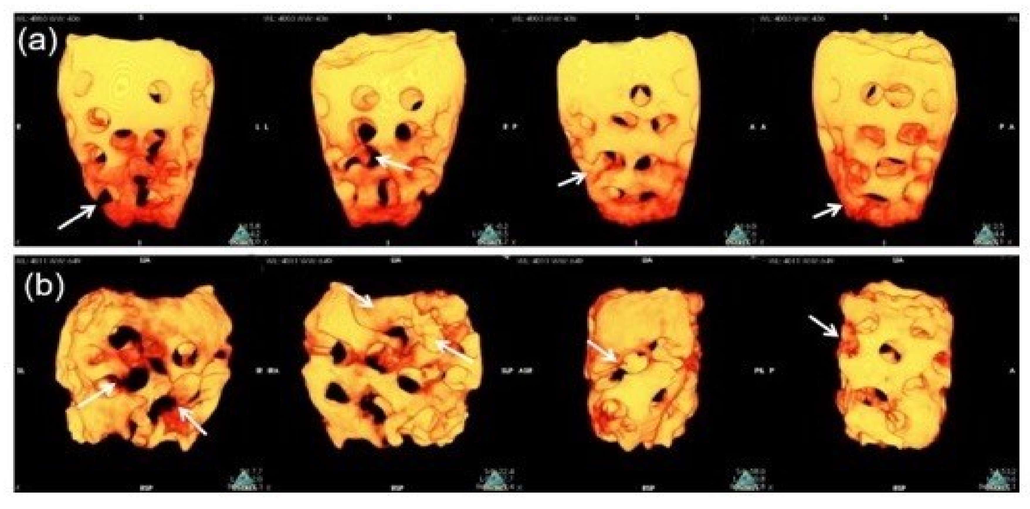 Materials 14 00223 g004 Materials 14 00223 g004