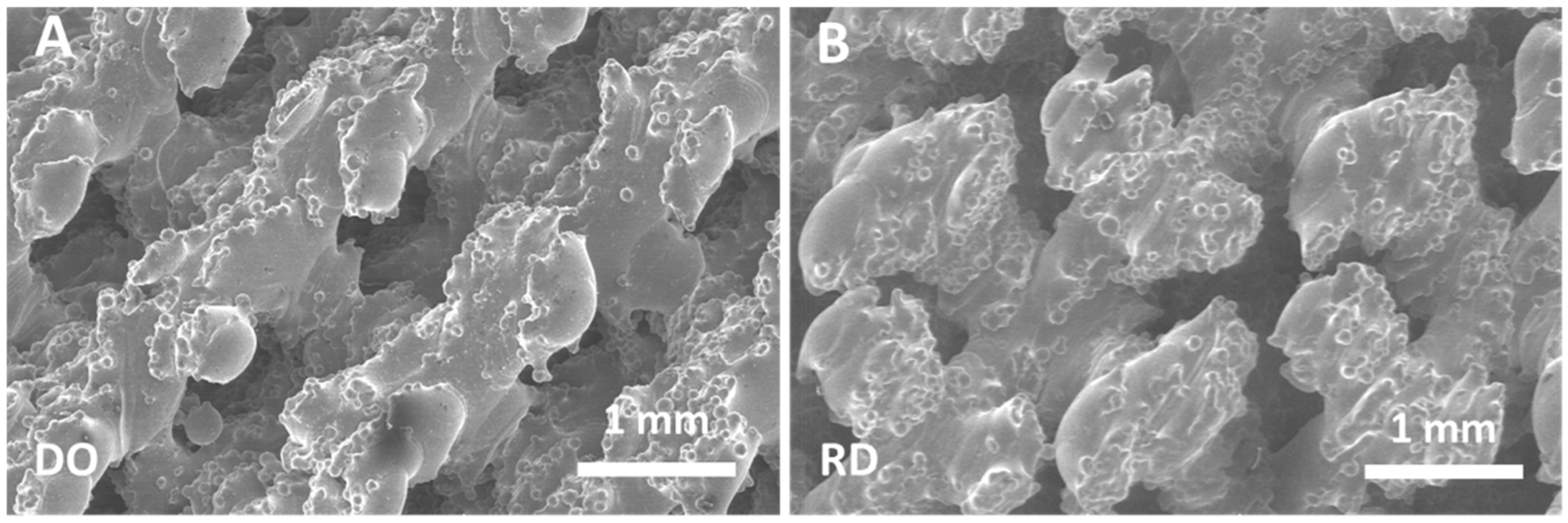 Materials 14 00224 g004