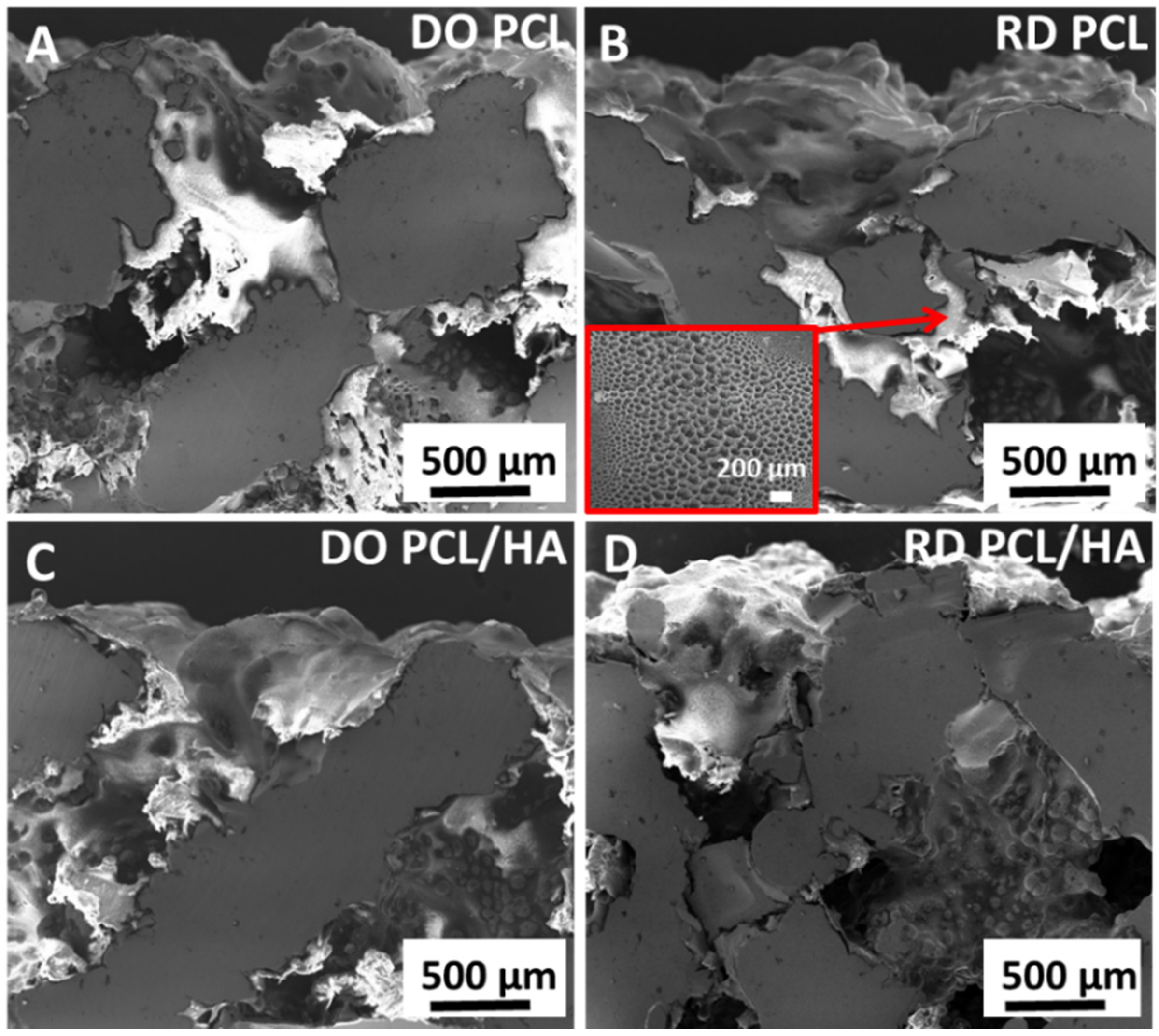 Materials 14 00224 g008