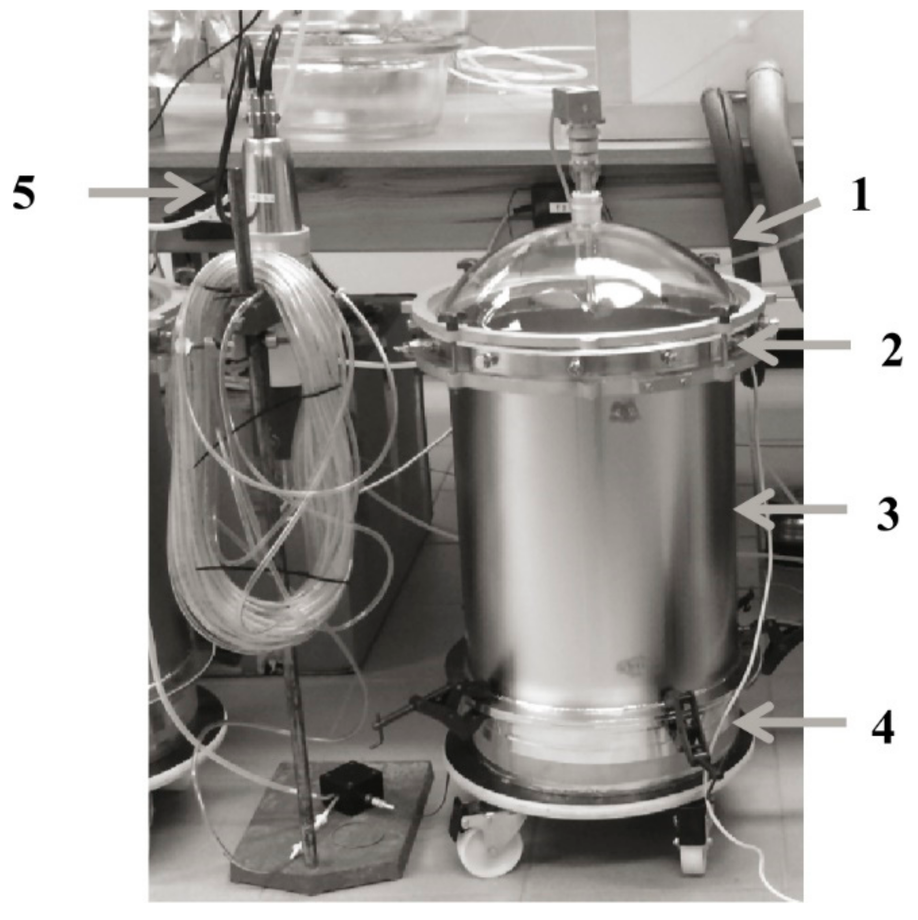 Materials 14 00234 g002 Materials 14 00234 g002