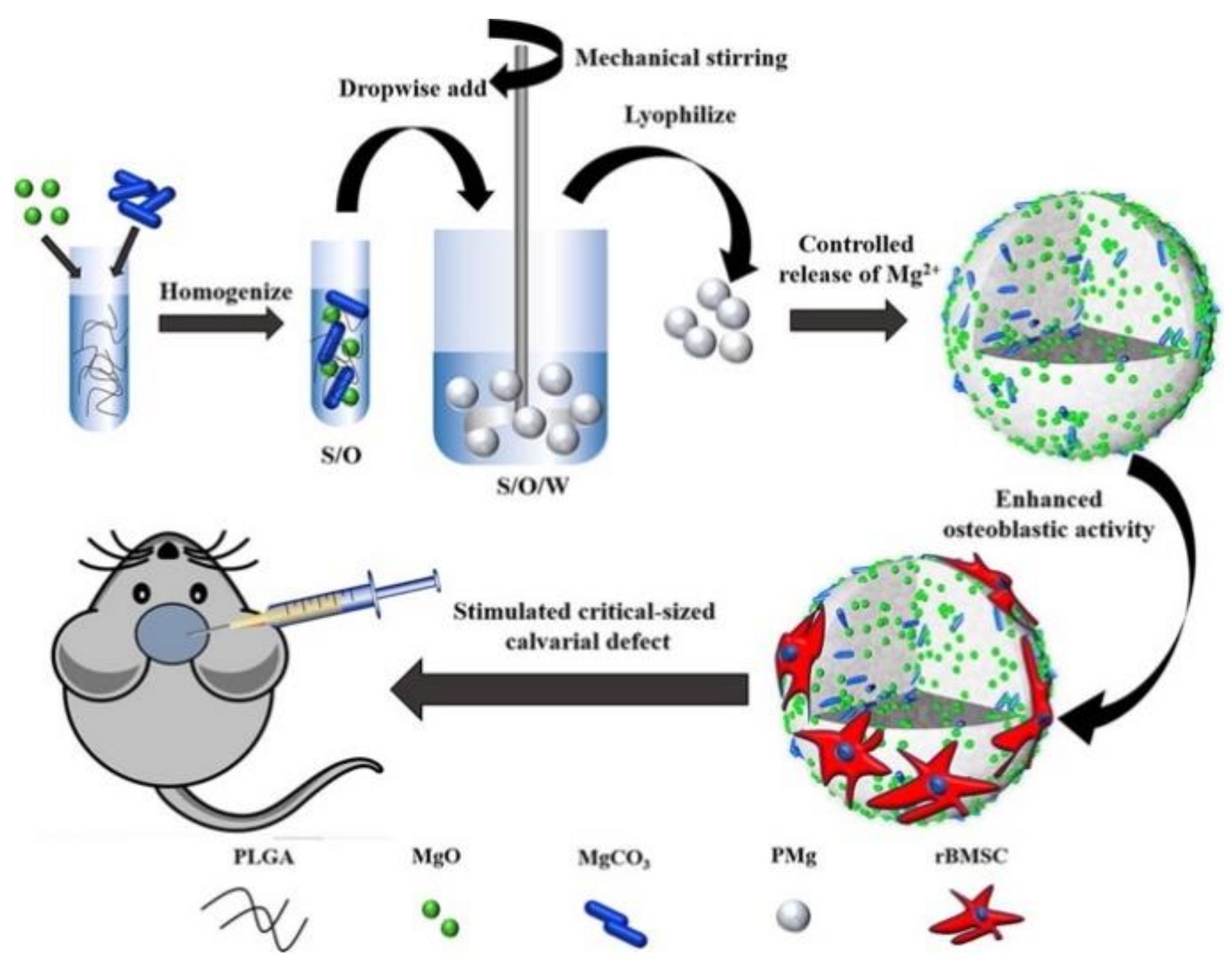 Materials 14 00235 g004 Materials 14 00235 g004