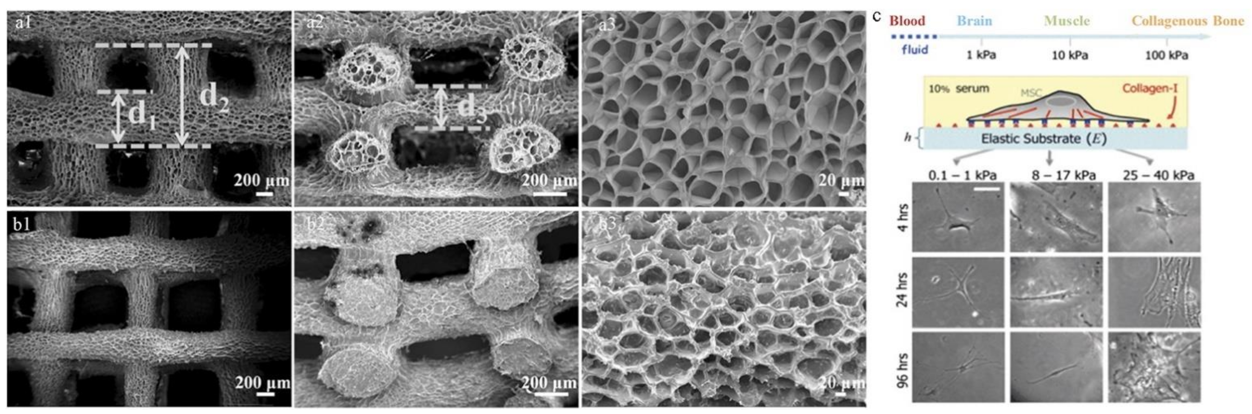 Materials 14 00235 g007 Materials 14 00235 g007