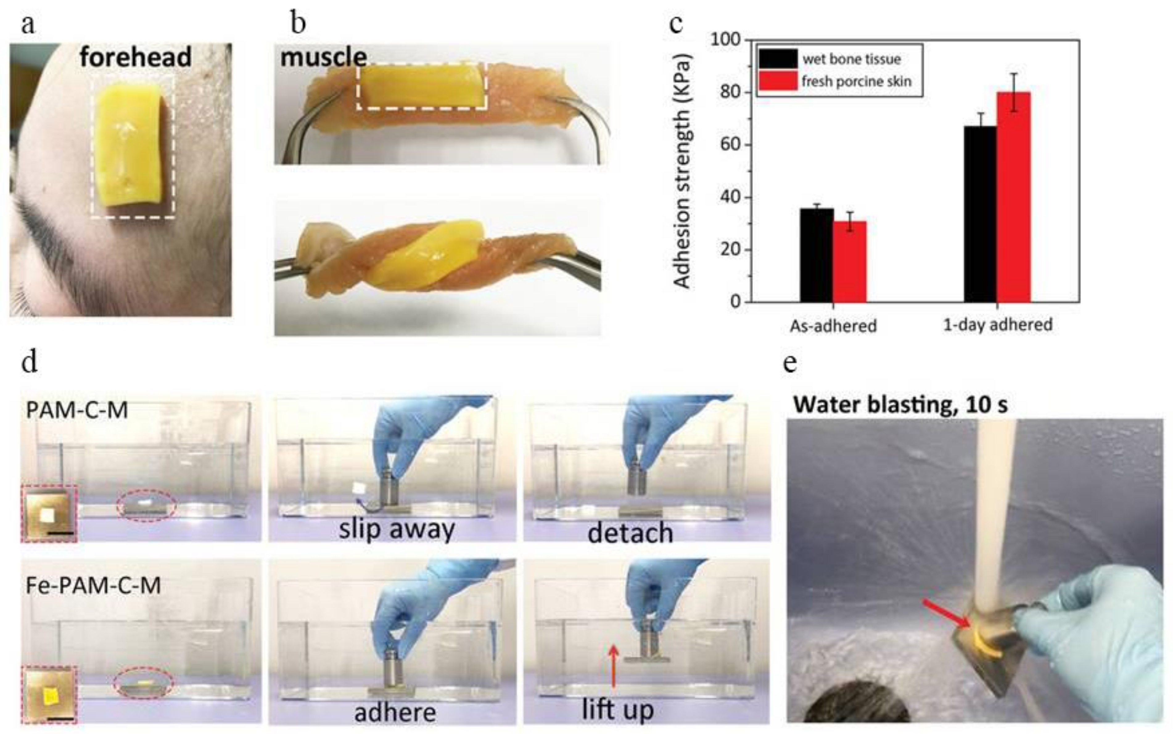 Materials 14 00235 g009 Materials 14 00235 g009