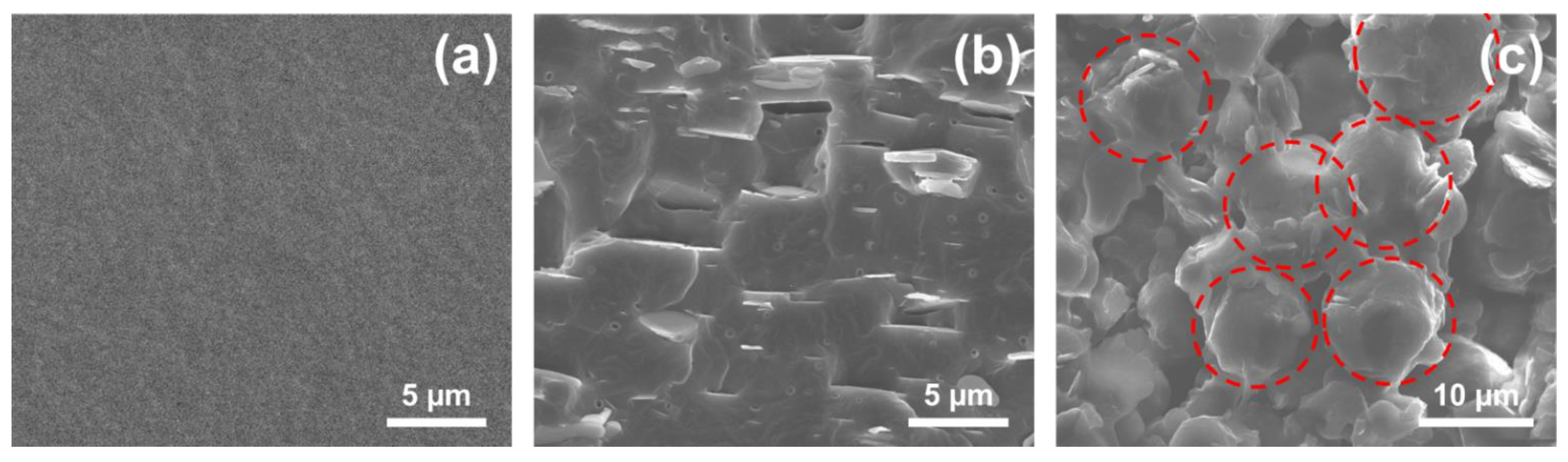 Materials 14 00238 g005 Materials 14 00238 g005