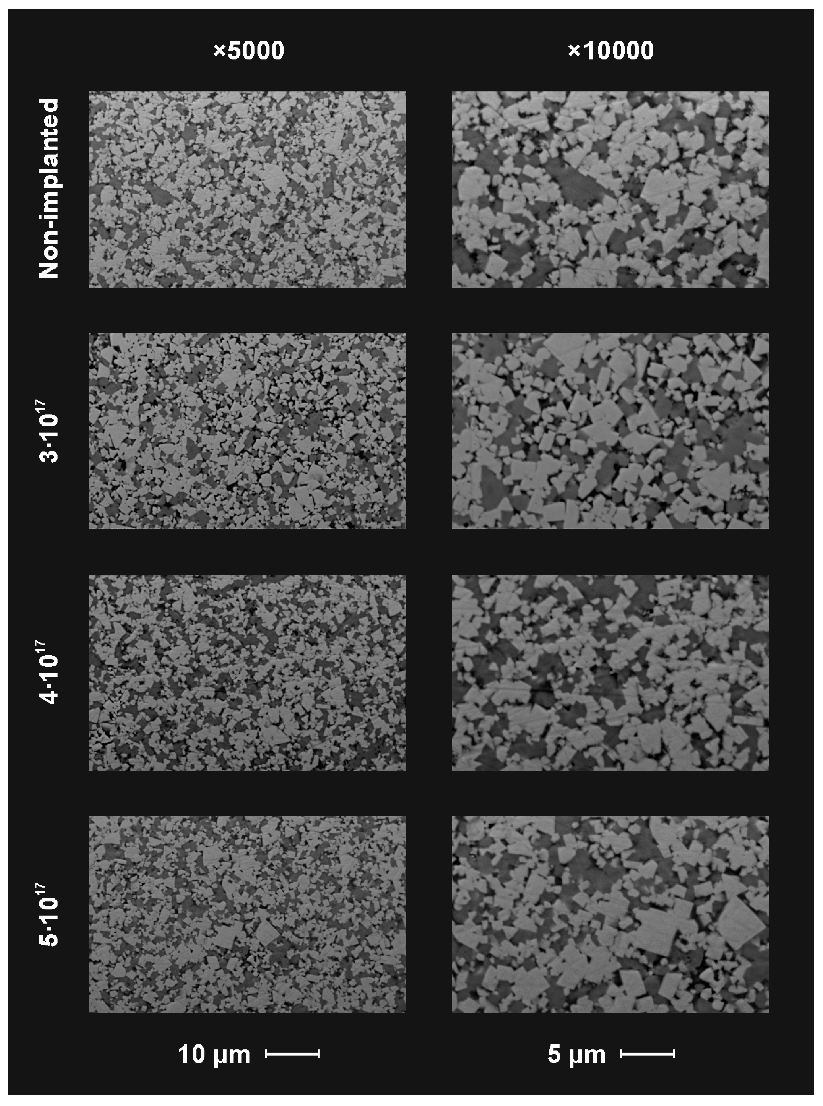 Materials 14 00239 g004 Materials 14 00239 g004