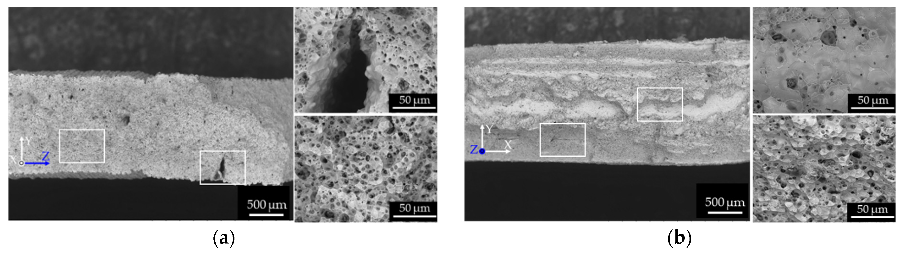 Materials 14 00243 g010a