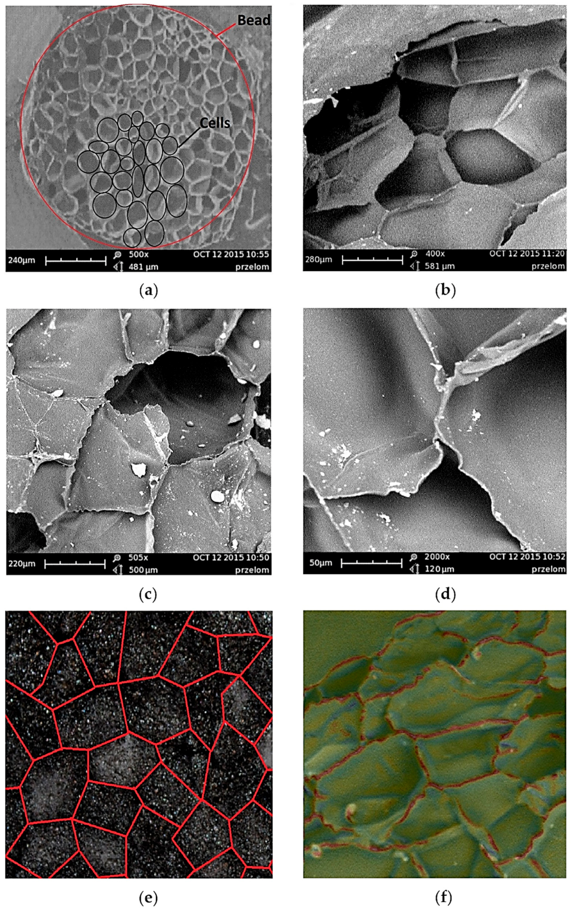 Materials 14 00249 g001