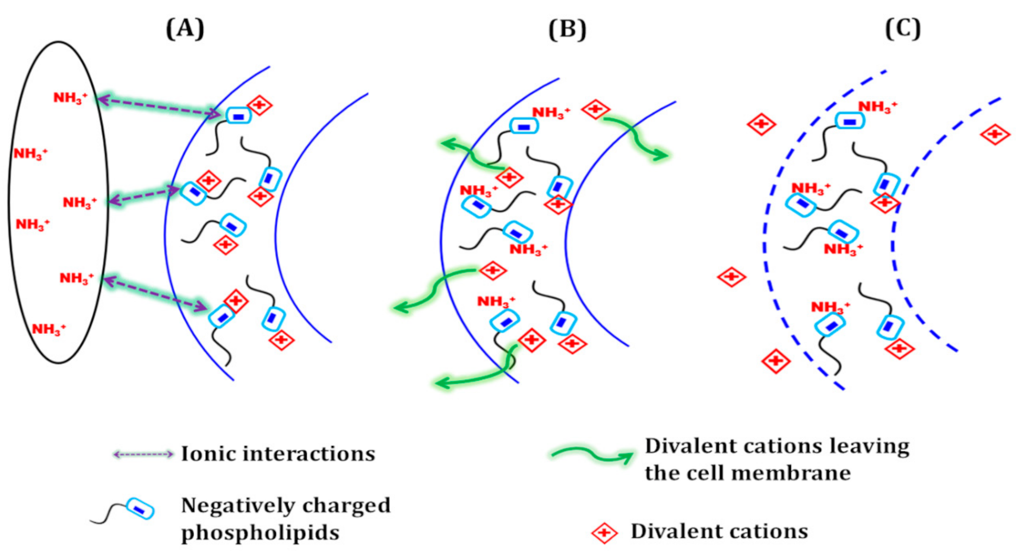 Materials 14 00251 g005 Materials 14 00251 g005