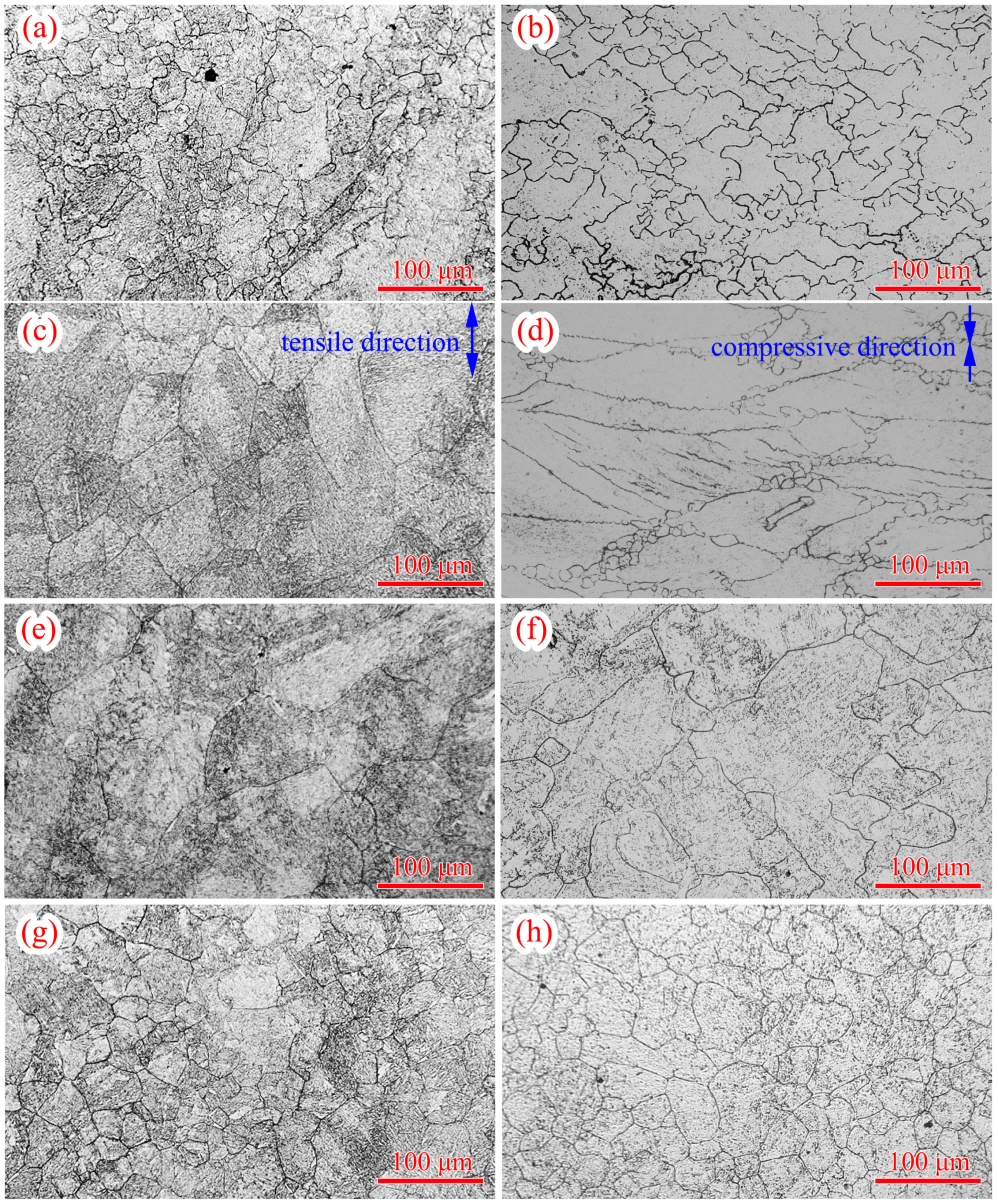 Materials 14 00252 g006