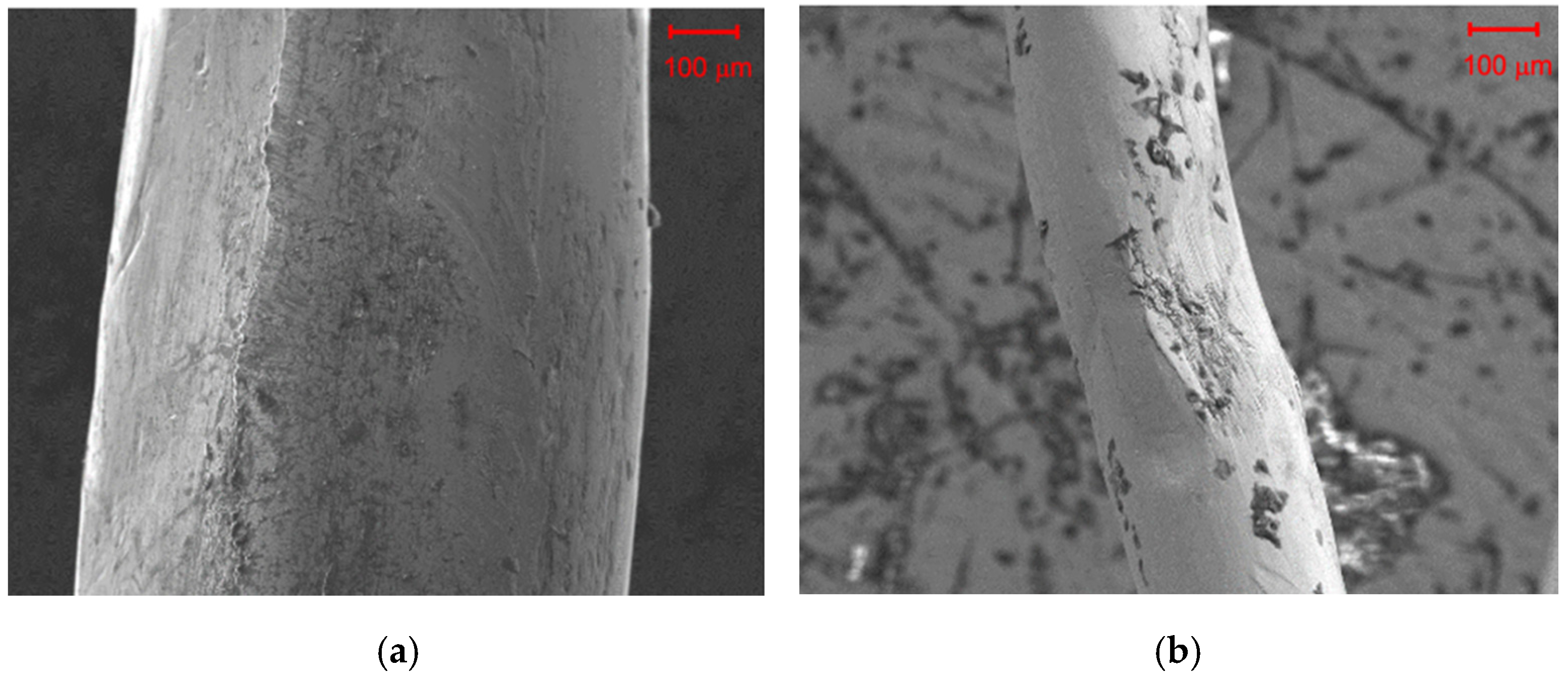 Materials 14 00256 g002 Materials 14 00256 g002