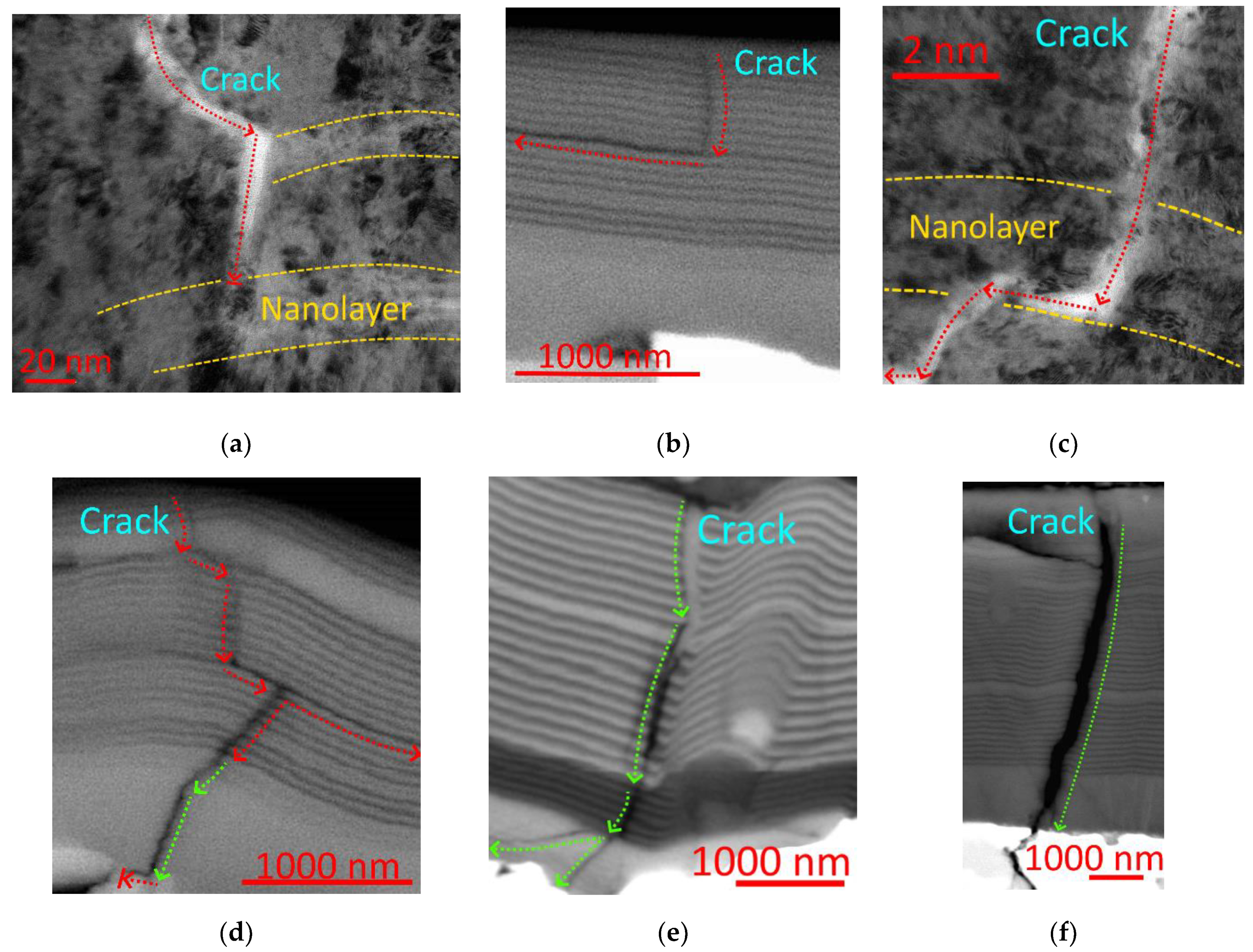 Materials 14 00260 g005 Materials 14 00260 g005