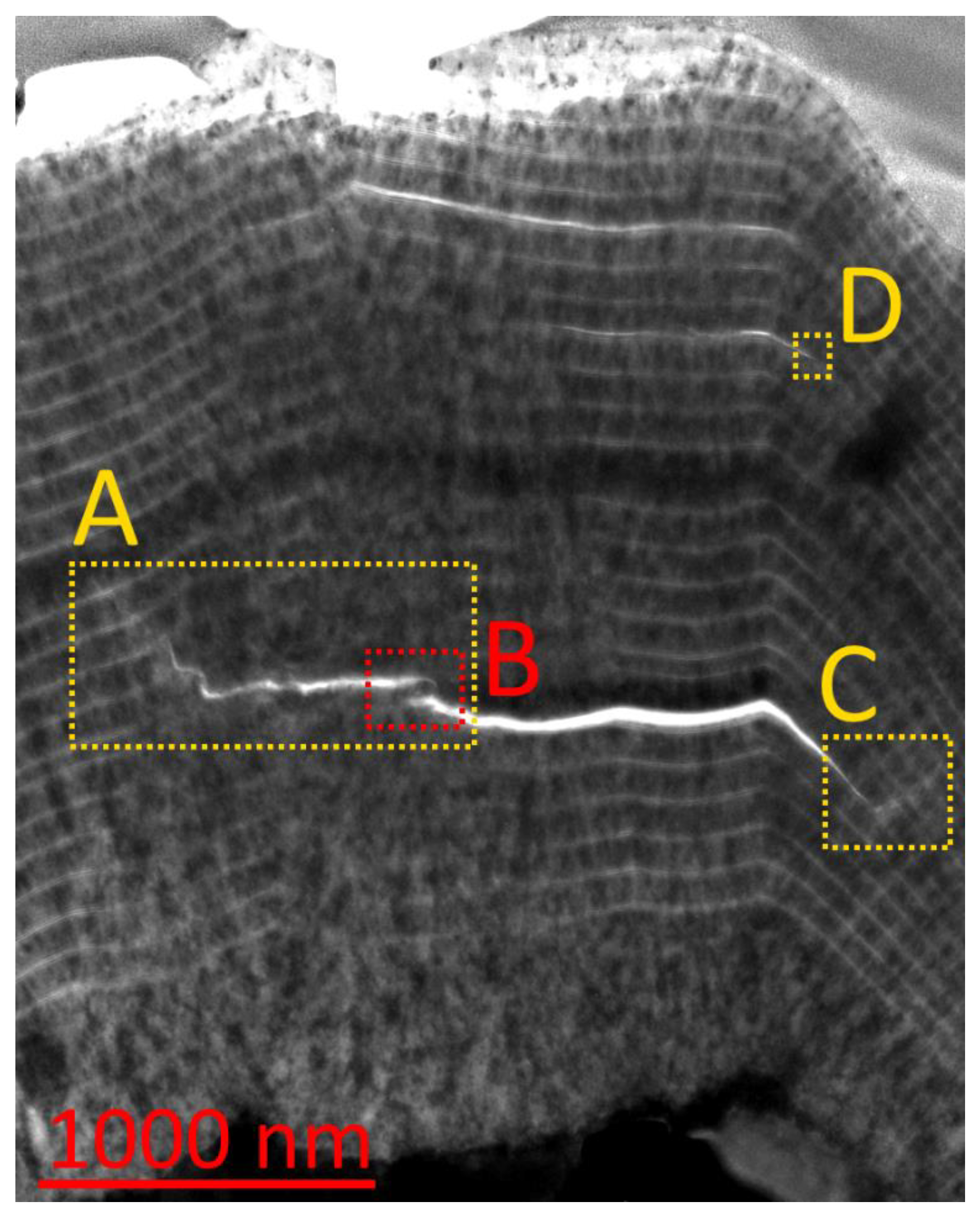 Materials 14 00260 g006 Materials 14 00260 g006