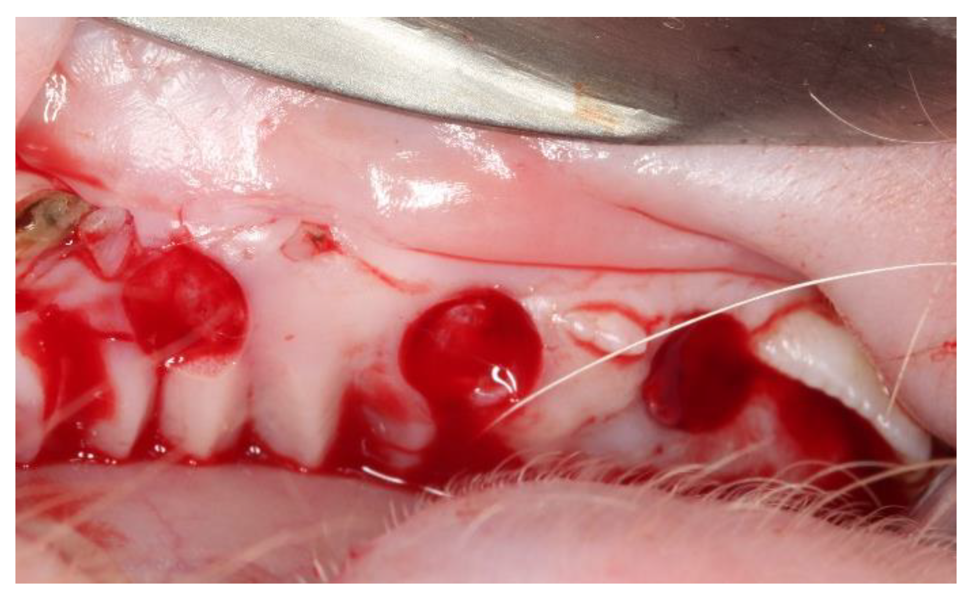 Materials 14 00272 g001